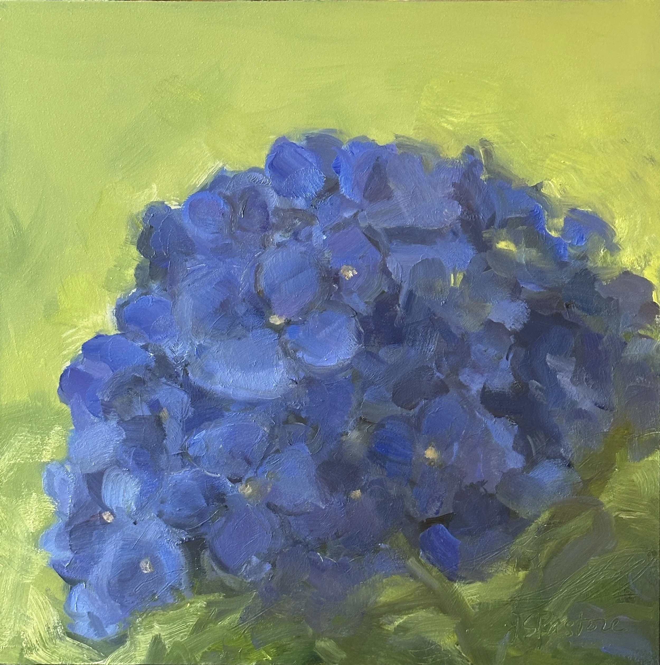 Blue hydrangea #1