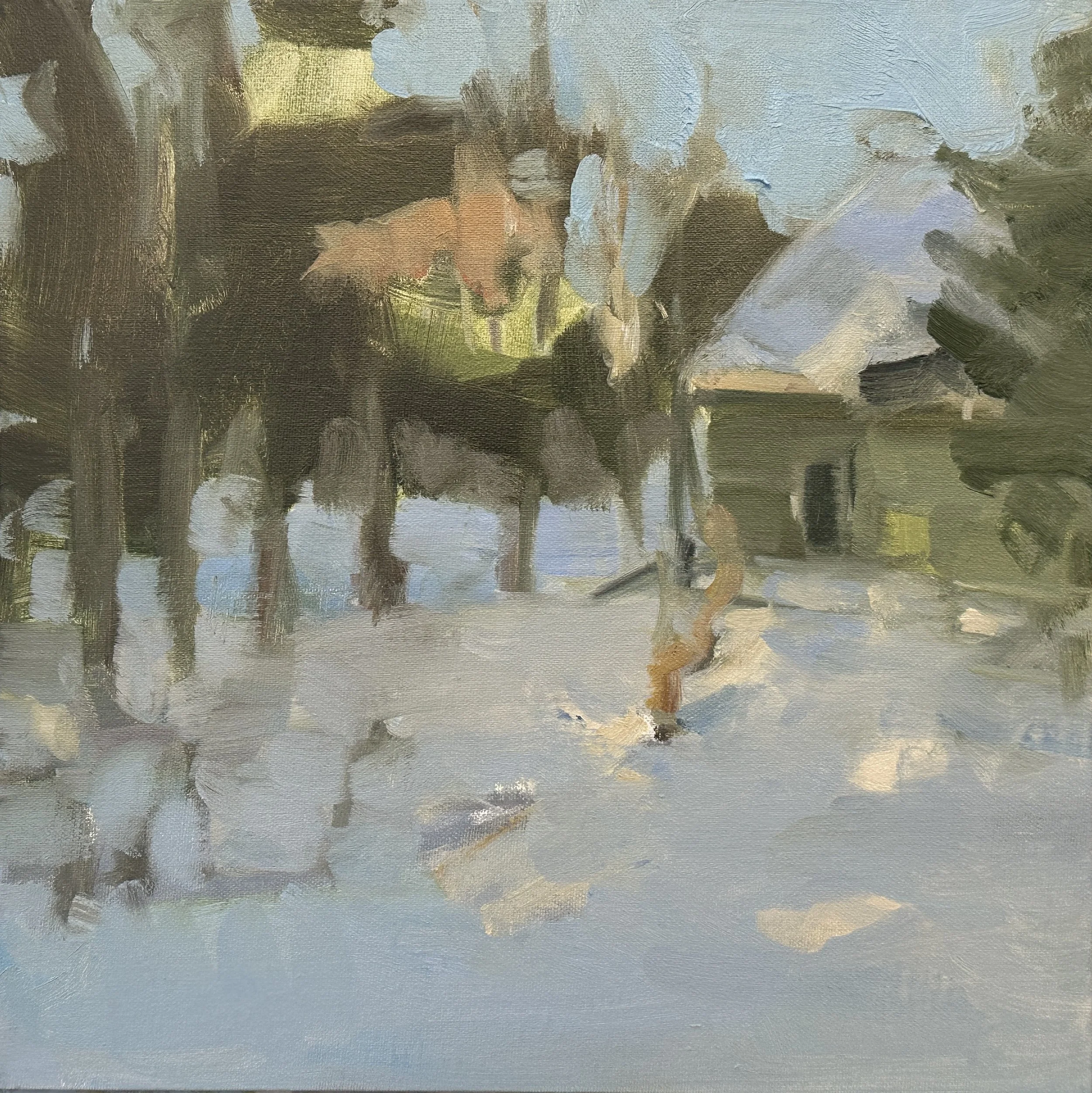 Adirondack Winter Light 
