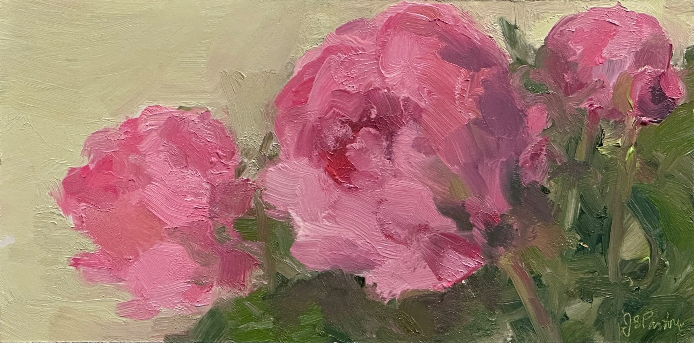 Pink Peonies