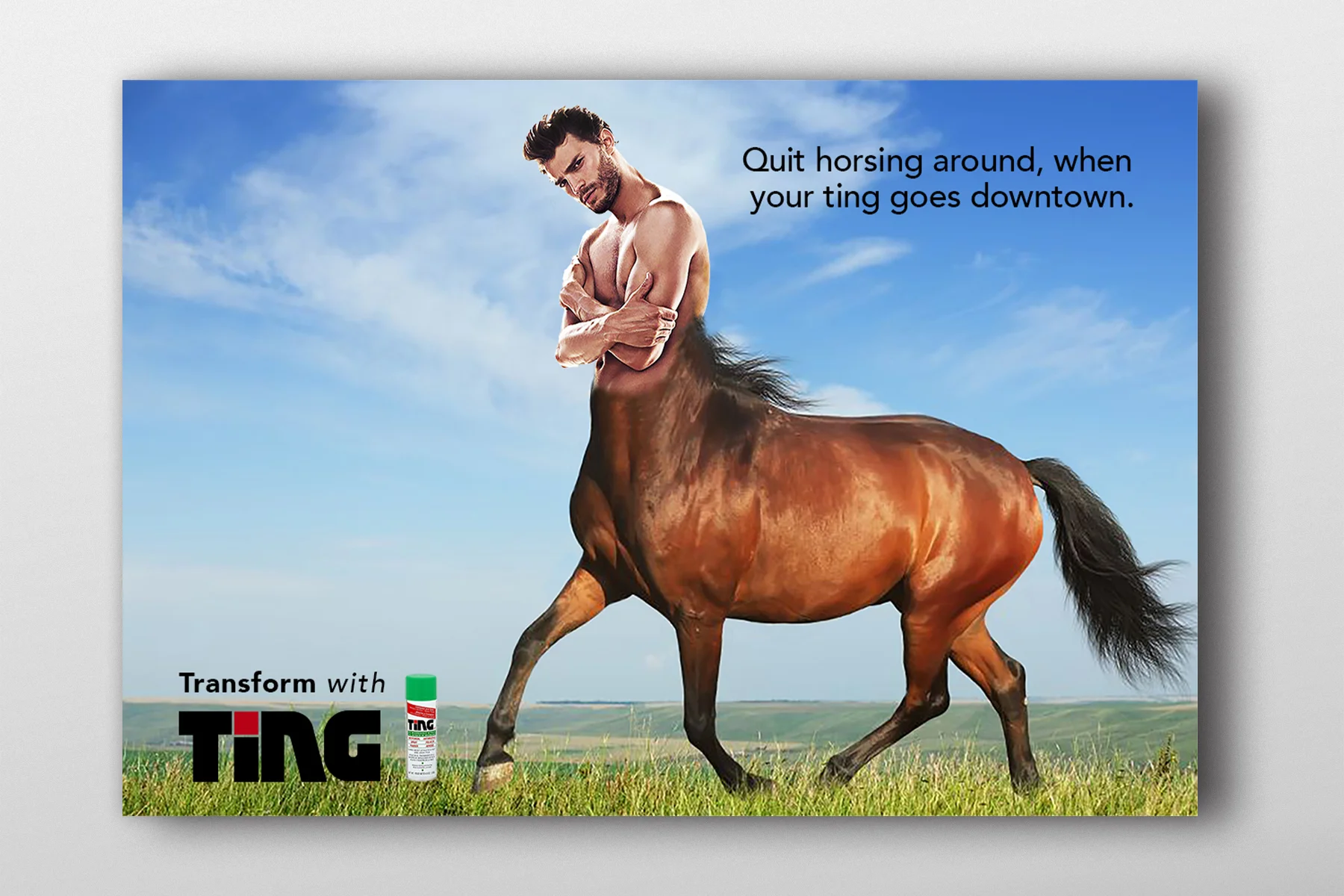 horse .jpg