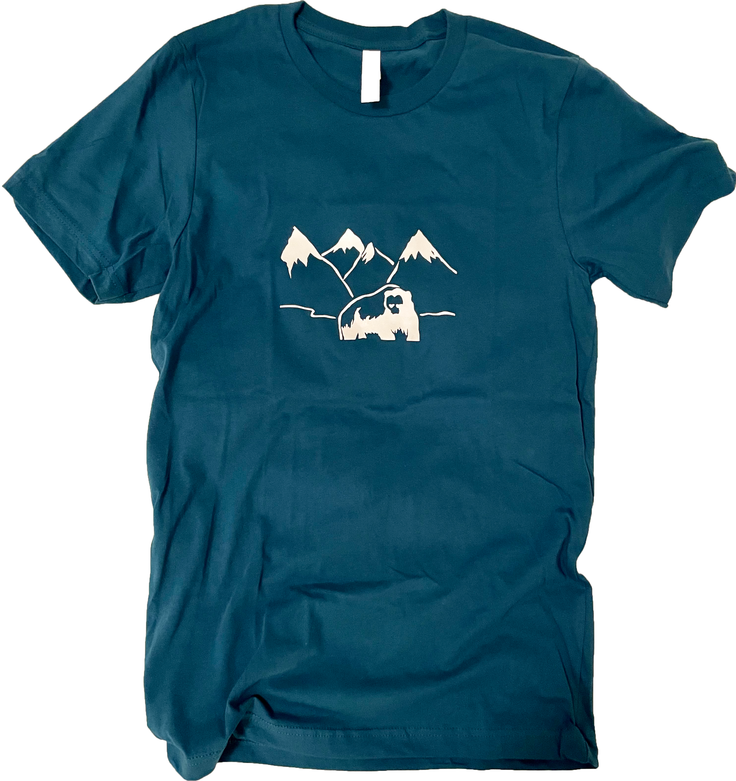 shirt 1.png
