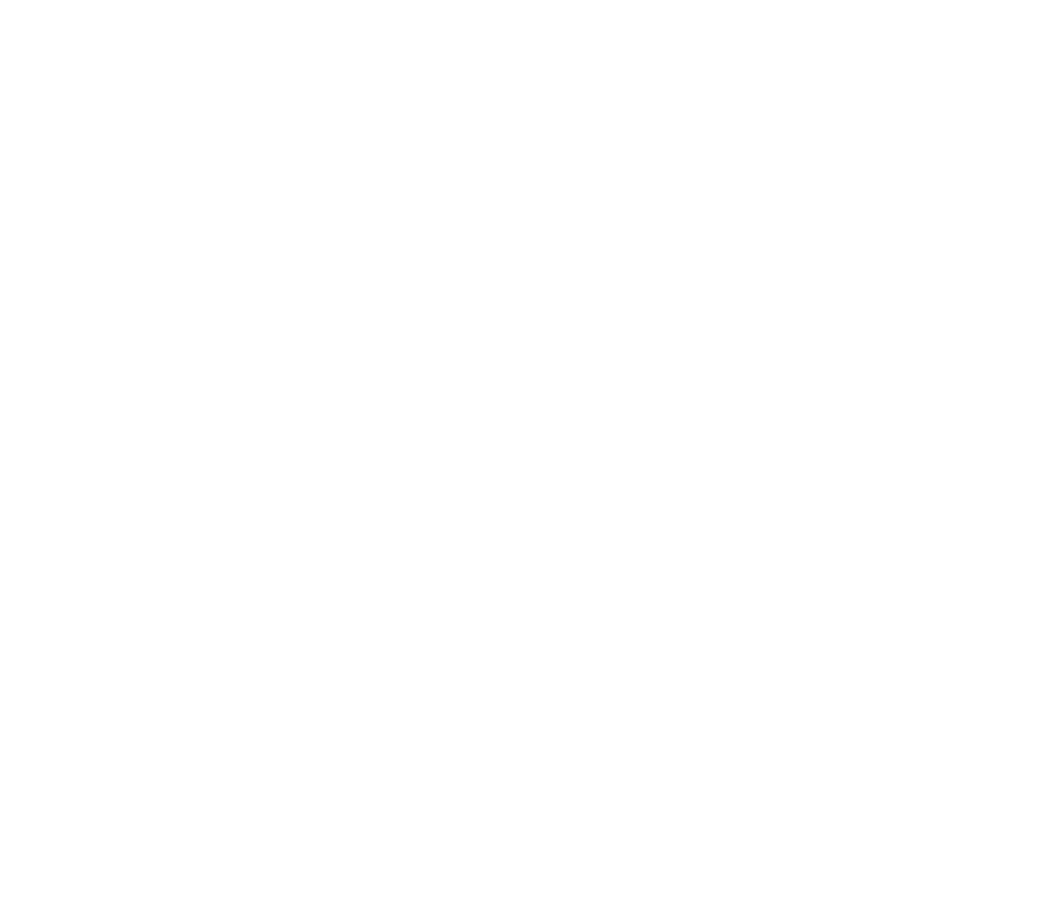 Dragonfly Outdoor Adventures