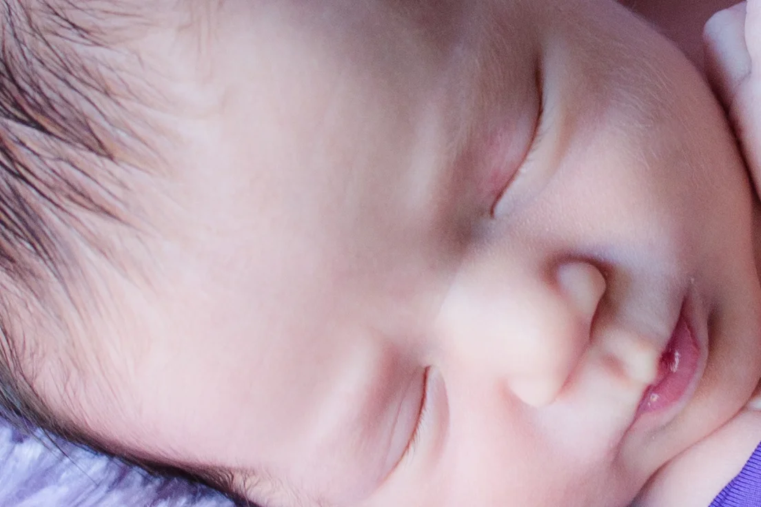 Violet-4.jpg