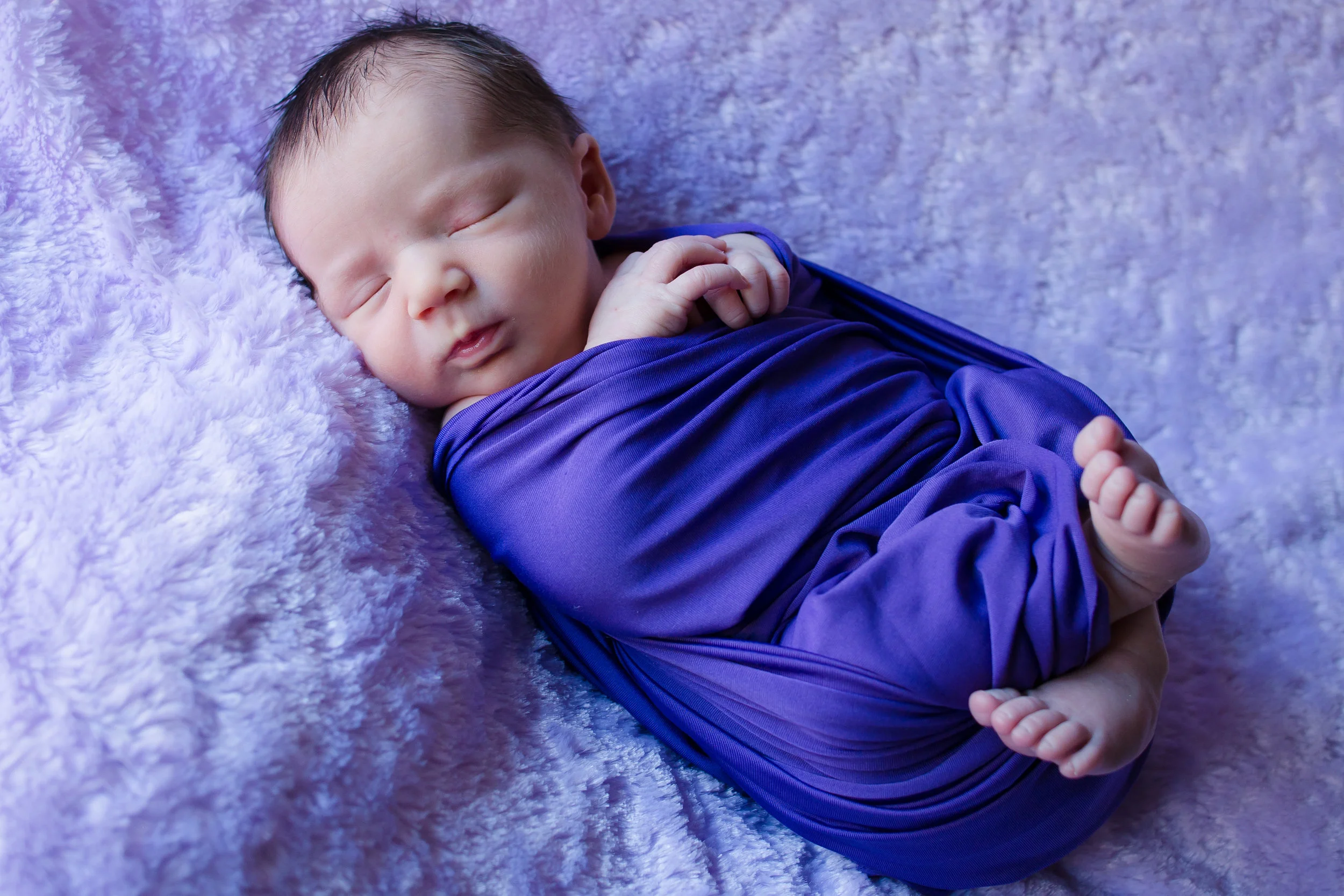 Violet-3.jpg