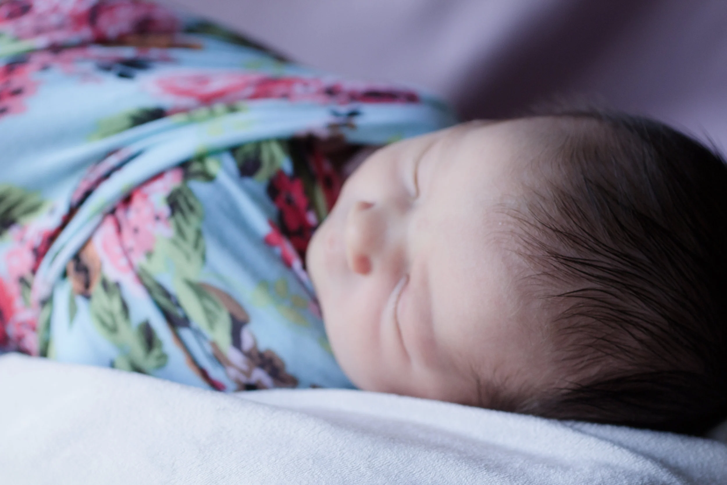 Violet-34.jpg