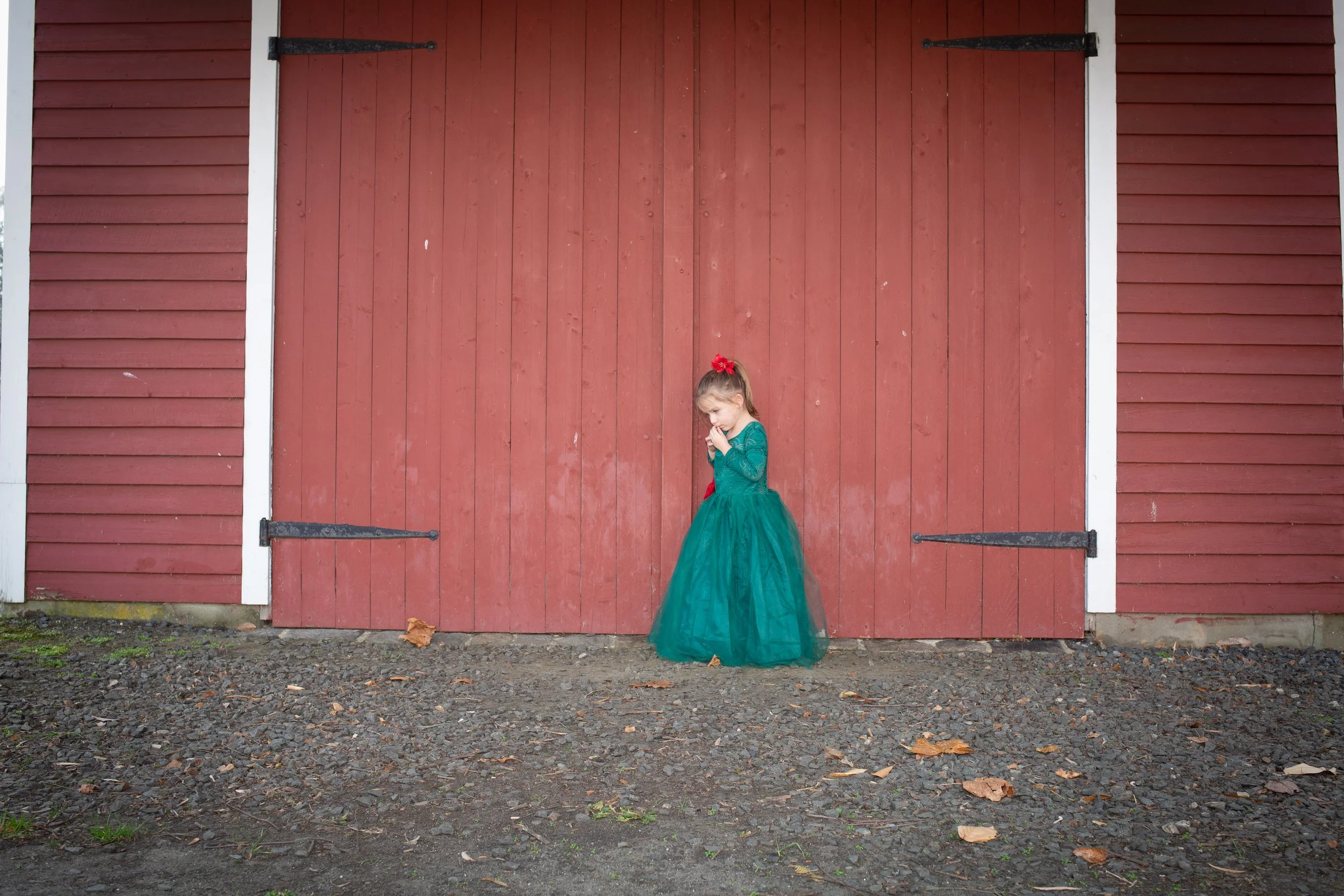 VioletChristmas-28.jpg