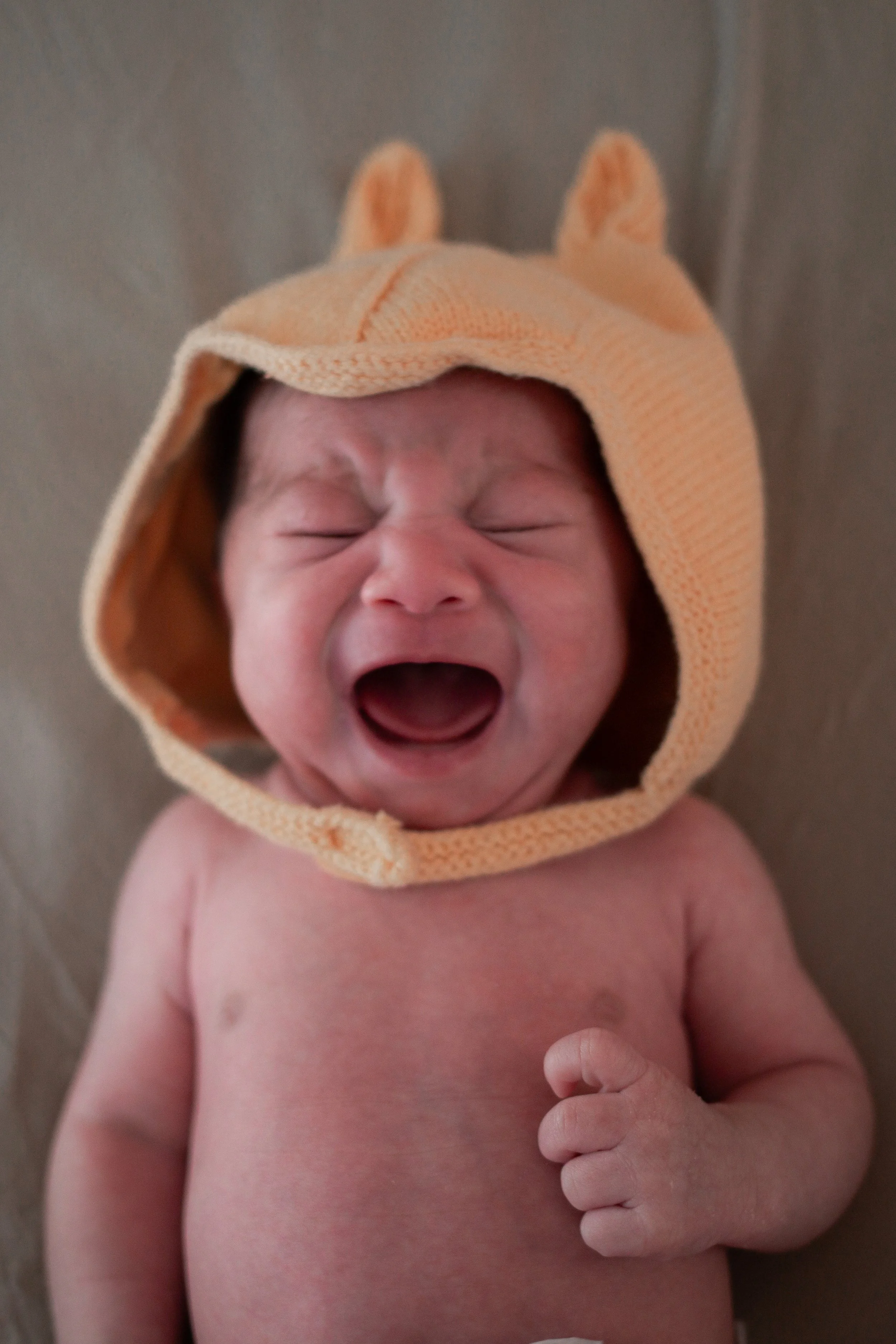 LN Newborn-39.jpg