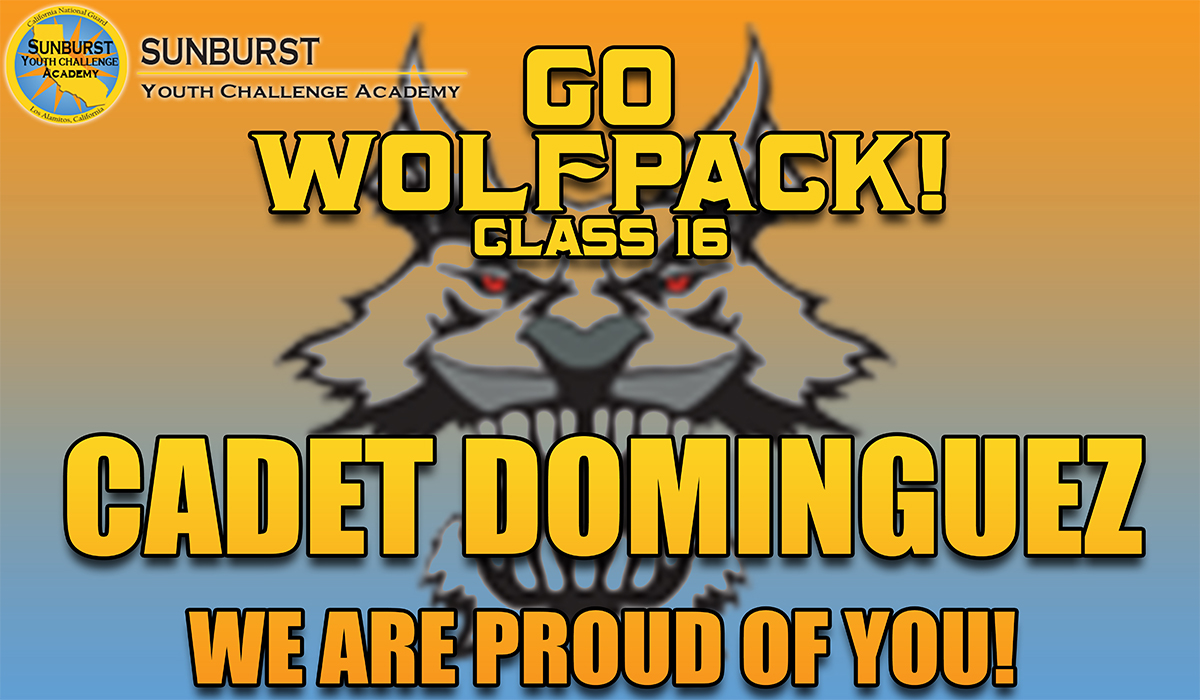 sunburst go wolfpack banner.jpg
