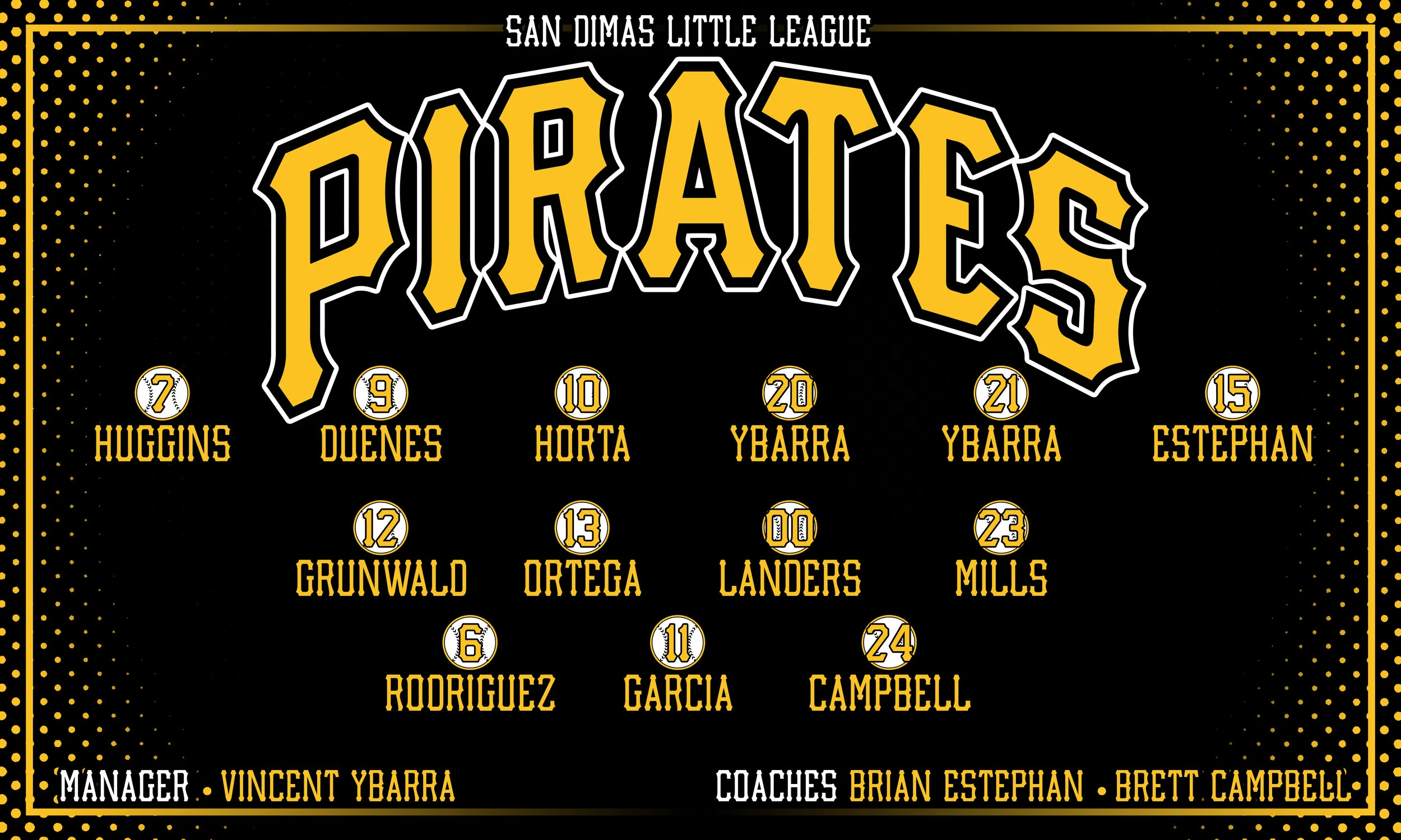 Pirates 3x5 Banner.jpg