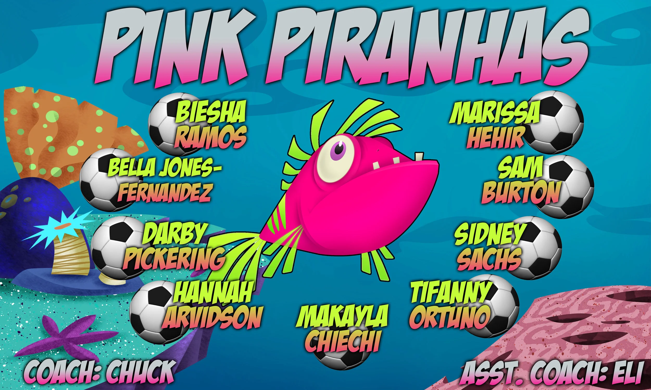 Pink Parahnas banner 3x5.jpg