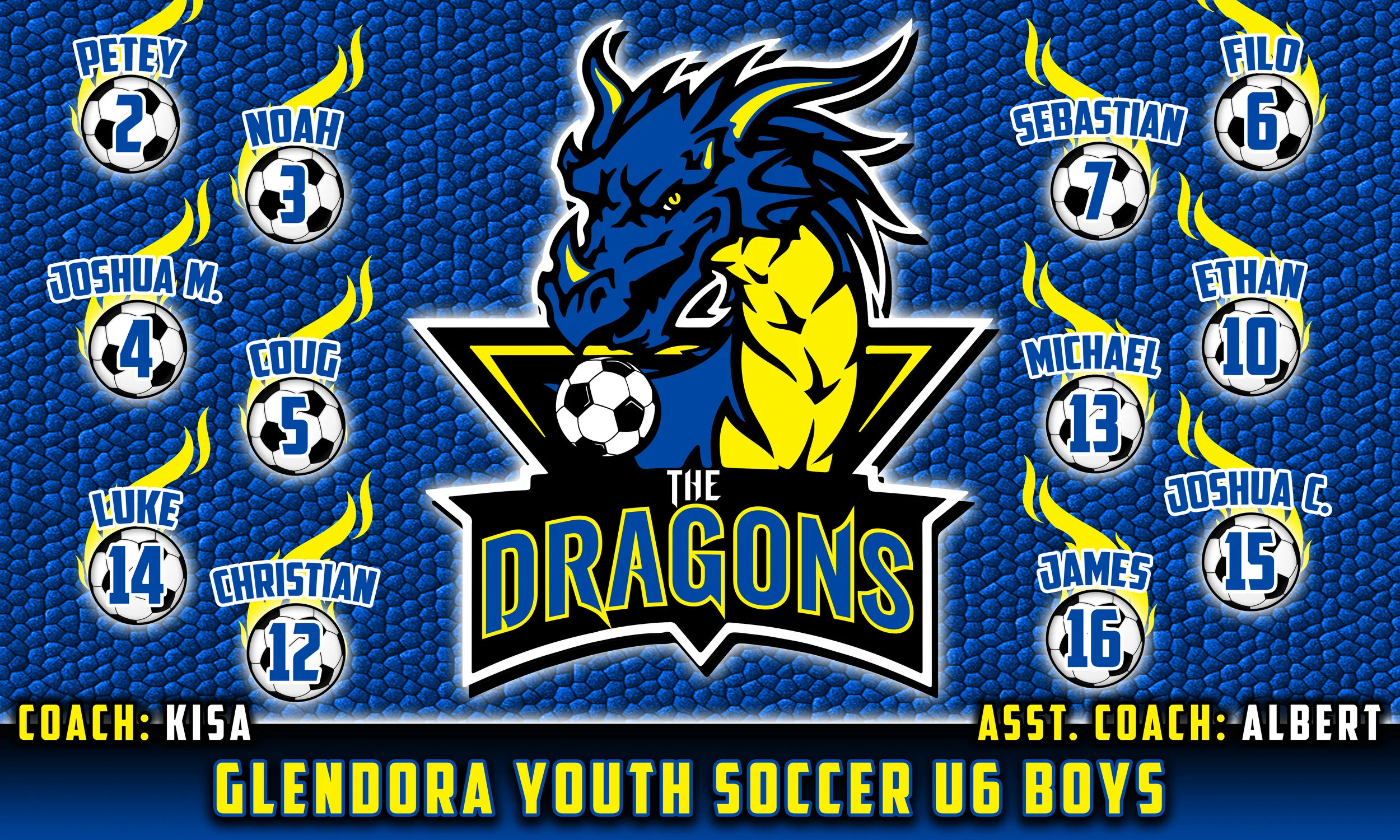 The dragons GYS 3x5 banner.jpg