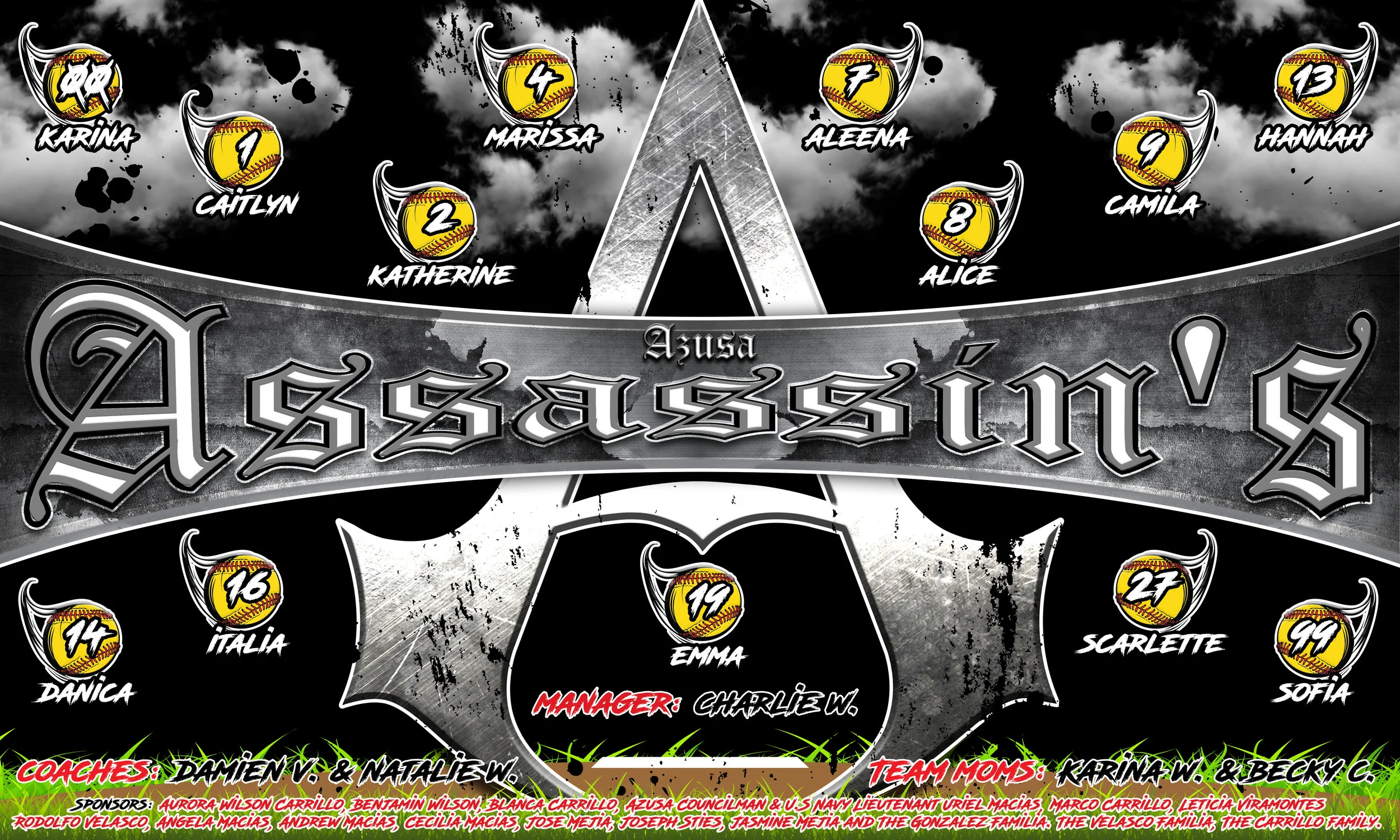 Assassins 3x5 Banner.jpg
