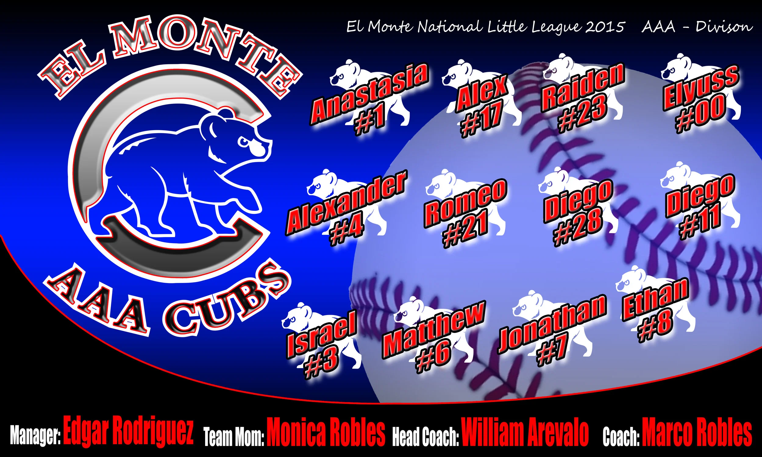 cubs banner 3x5.jpg