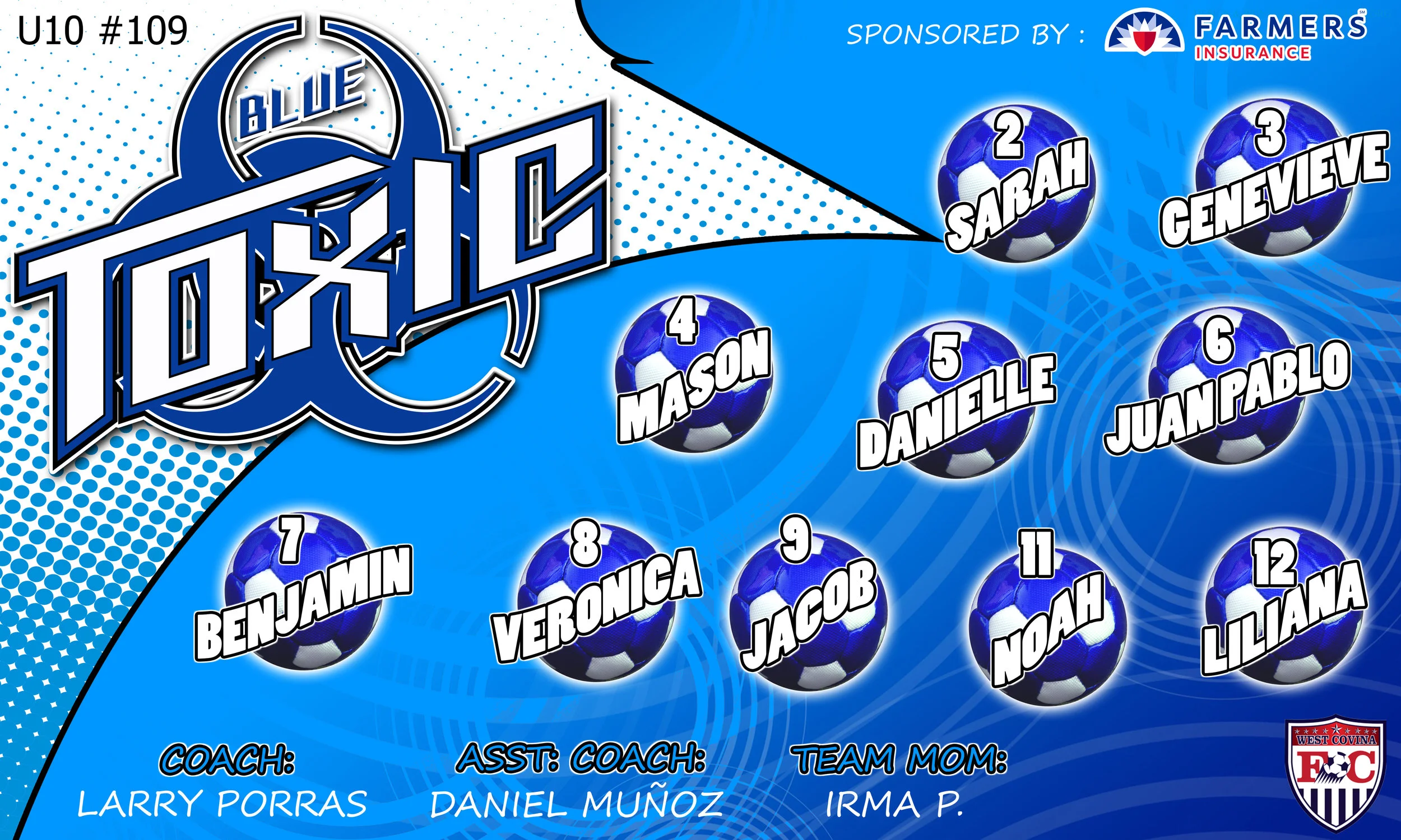 blue toxic 3x5 banner.jpg