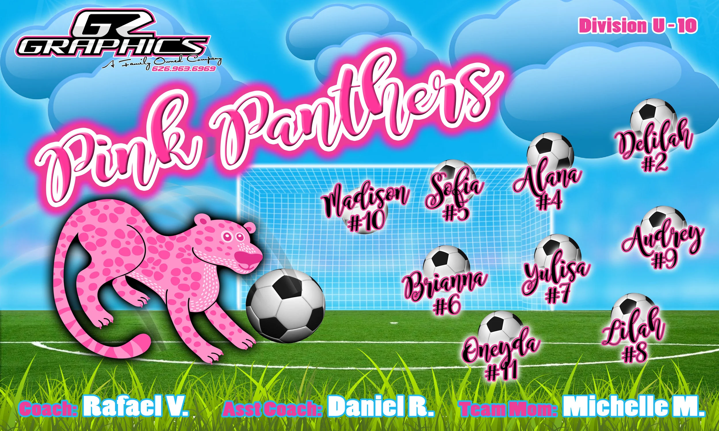 pink panthers soccer banner.jpg