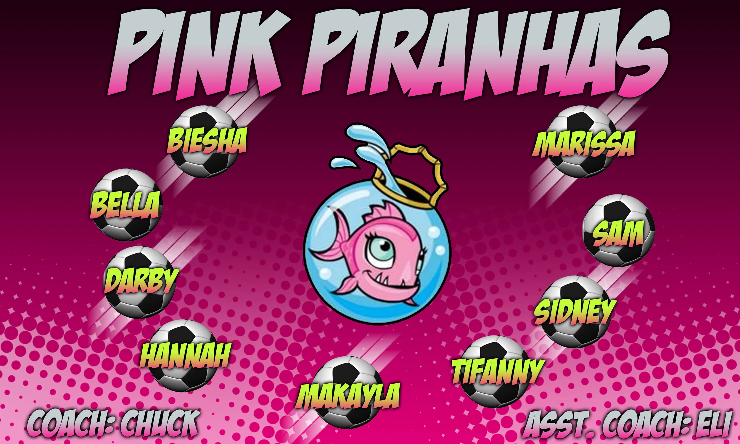 Pink Parahnas banner 3x5 prt 2.jpg