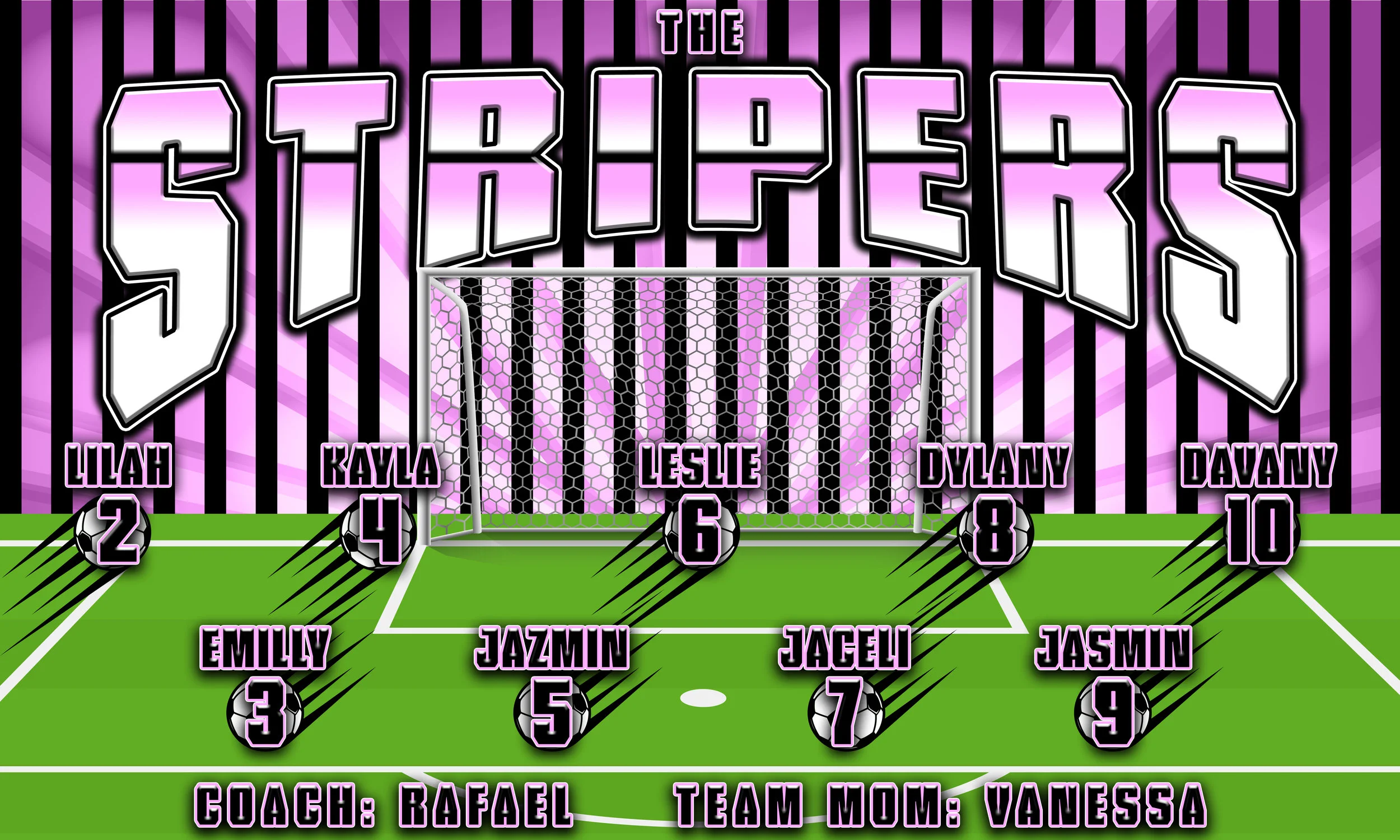 the stripers 3x5 banner.jpg