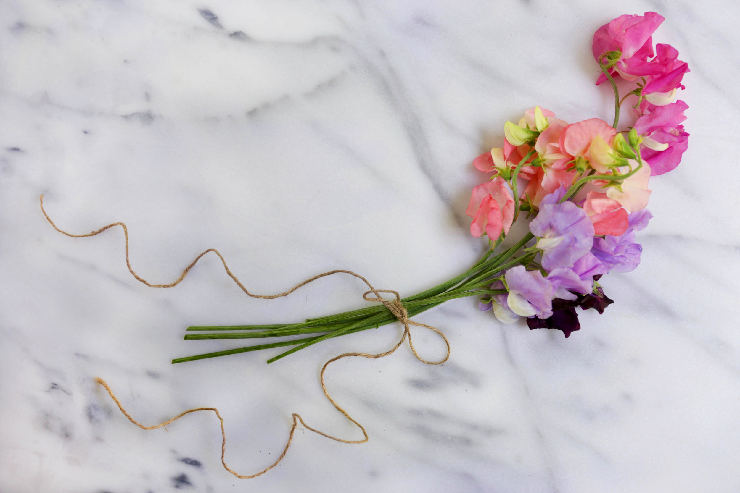 Sweet pea... such fresh colors!
