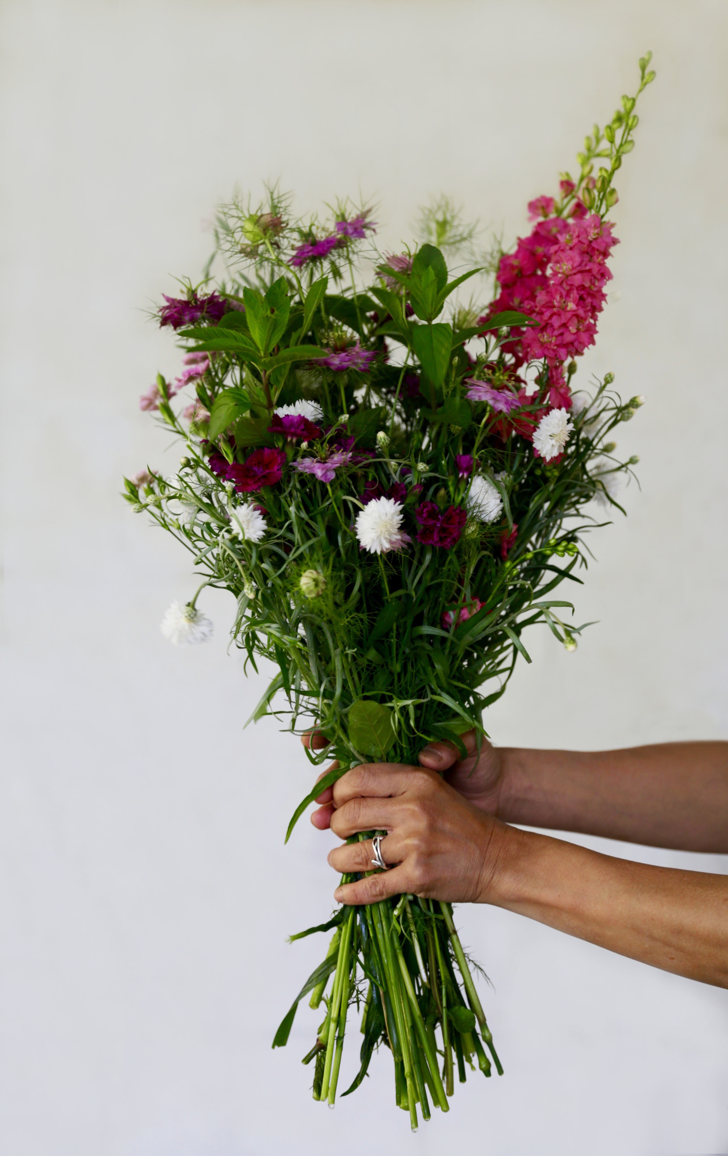 Week 2 of Flower CSA
