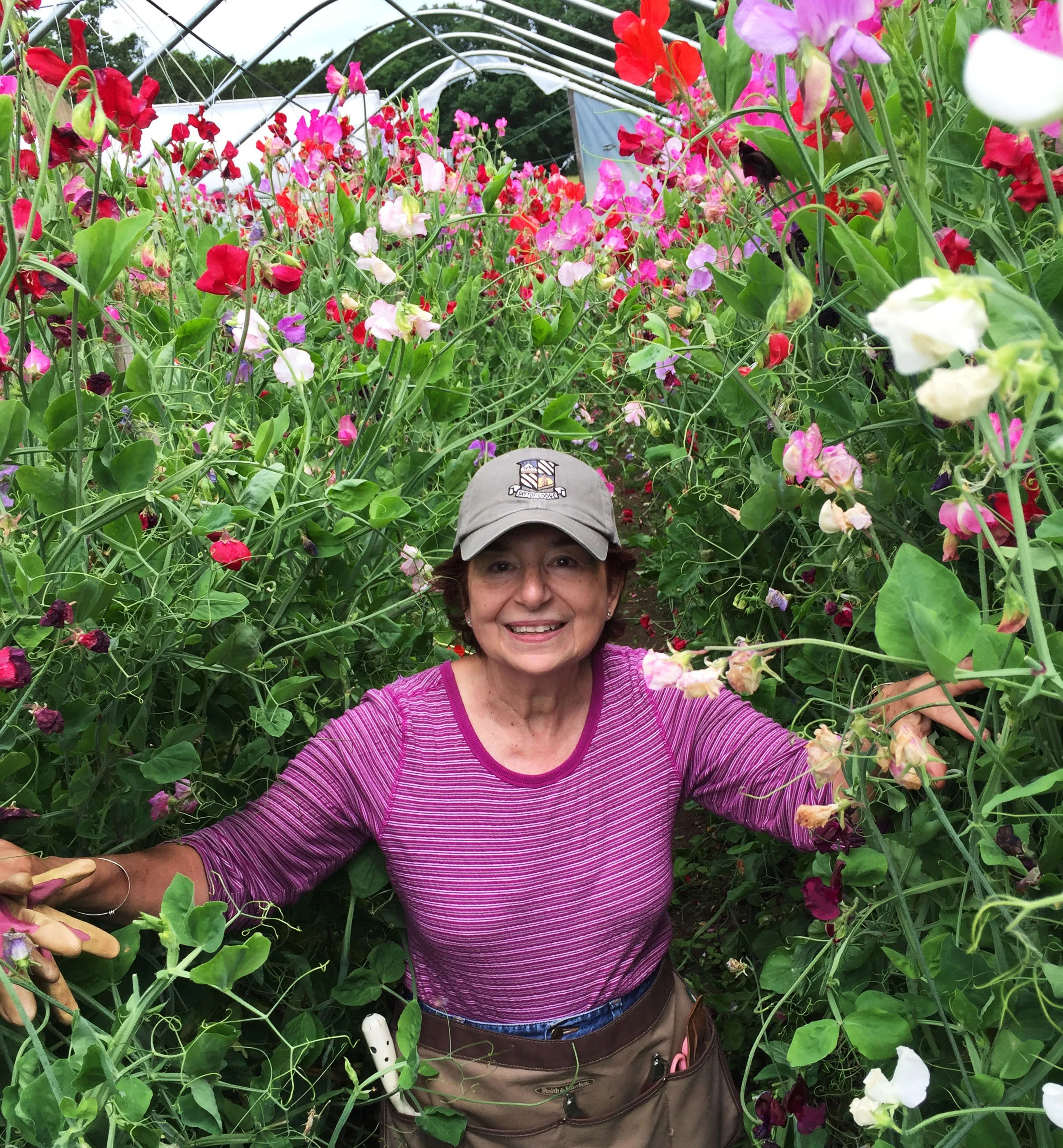 My awesome neighbor, Bobbie almost swallowed up by sweetpea bushes!