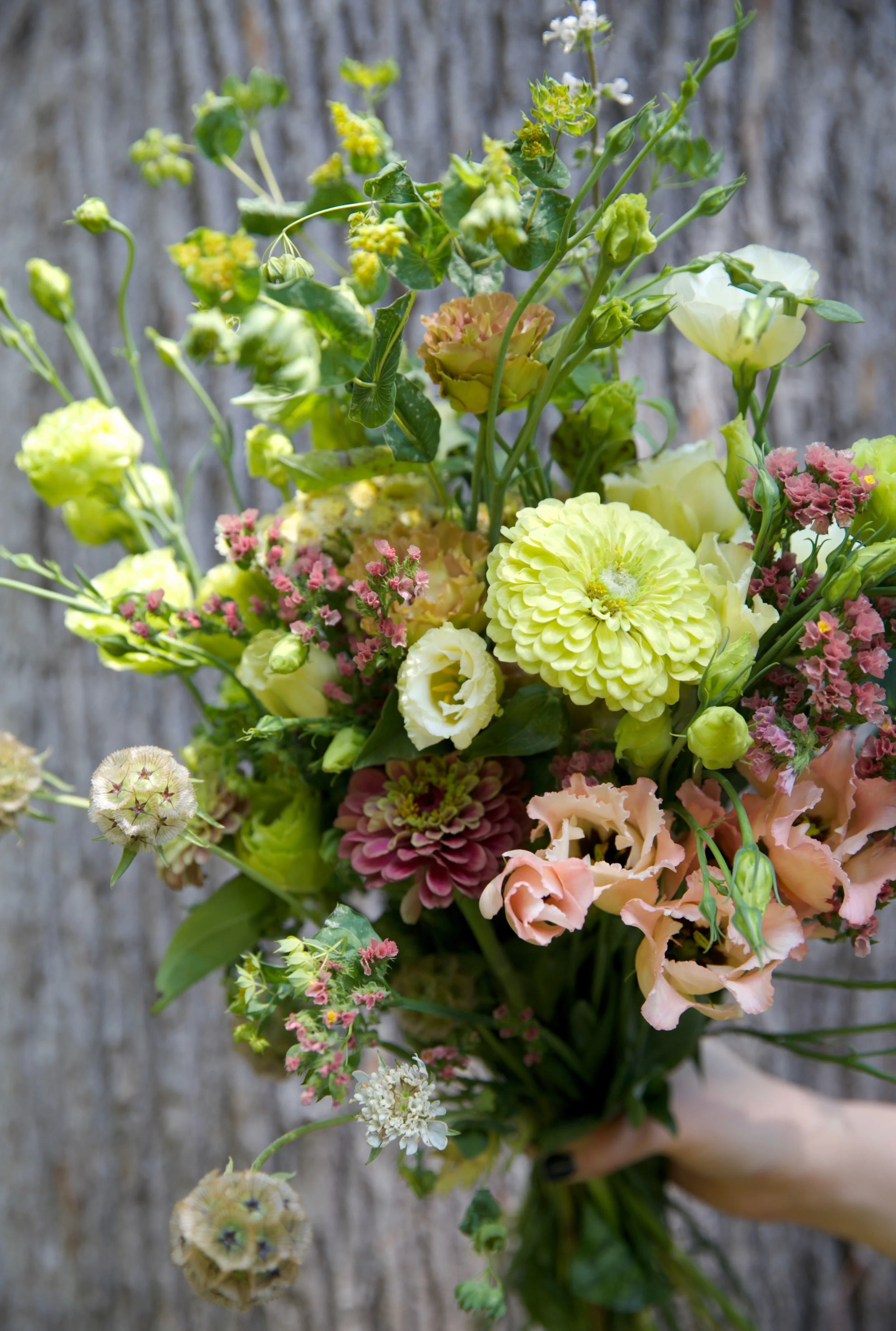 Close up view --- check out the peach-apricot hues!