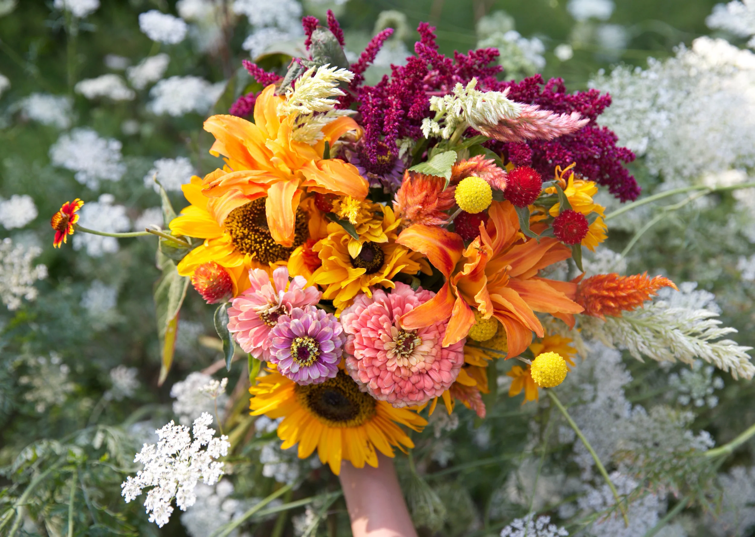 Wild flowers on top of wild flowers! We found a small bed of queen anne's lace that looked like clouds