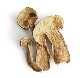Dried Porcini Mushrooms
