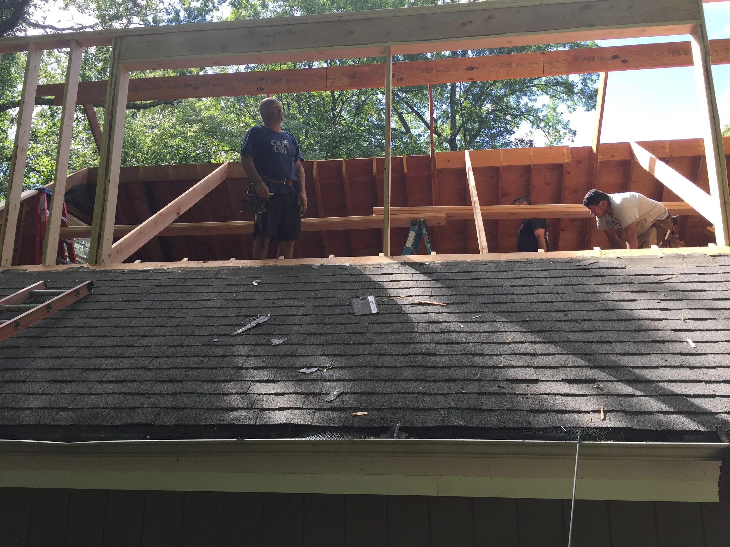 STRUCTURING THE DOMERS