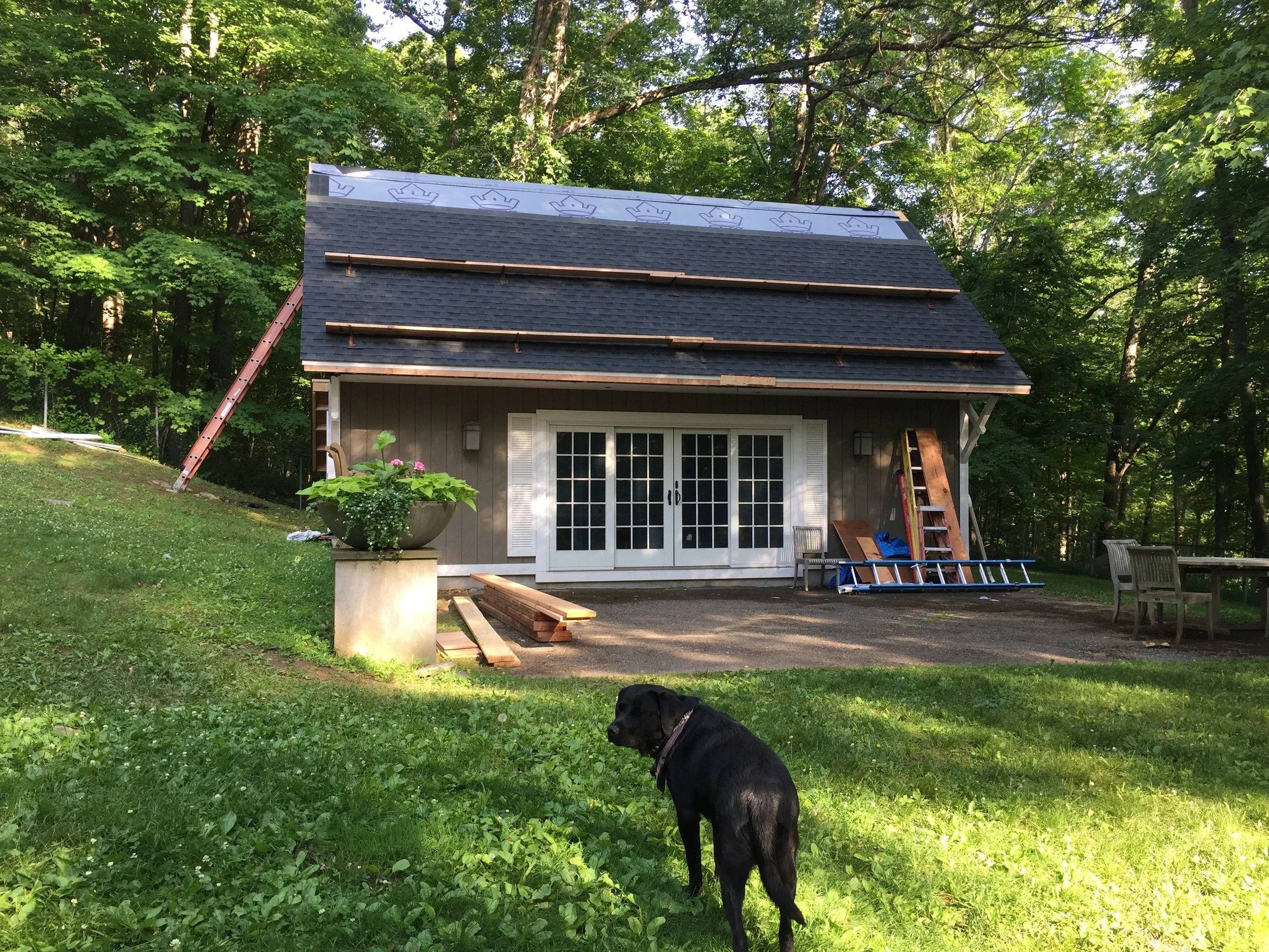 CURIOUS SMOKES... WHAT IS GOING ON?!!!!? NEW ROOF?