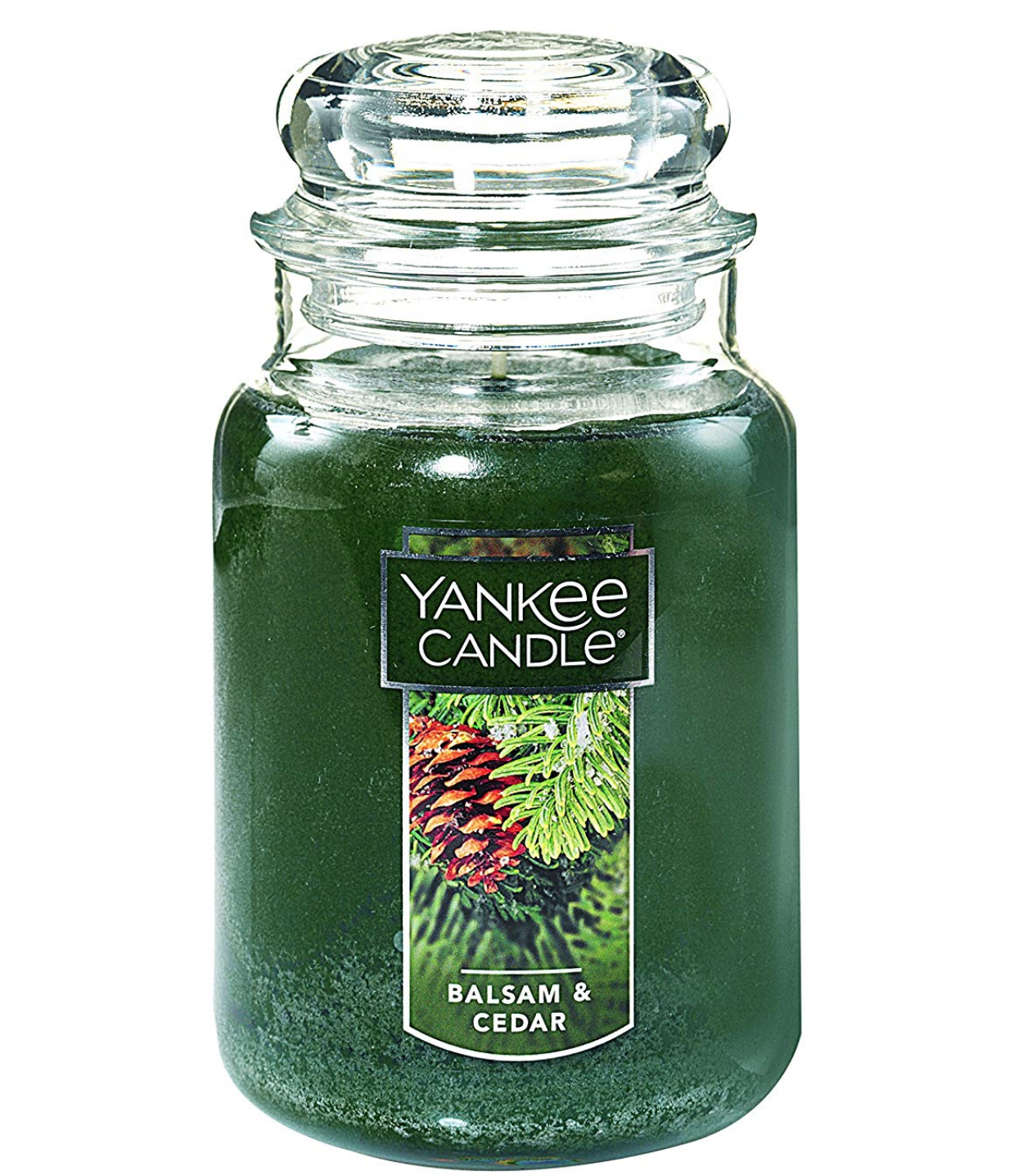 Seasonal Candle ( $14.88)