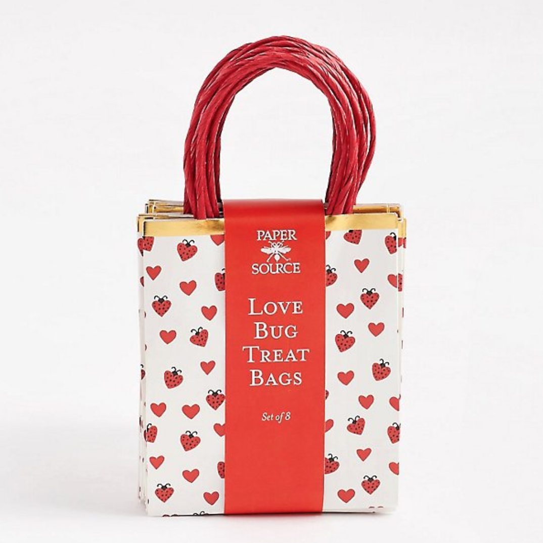 Galentine's Gift Bags Paper Source