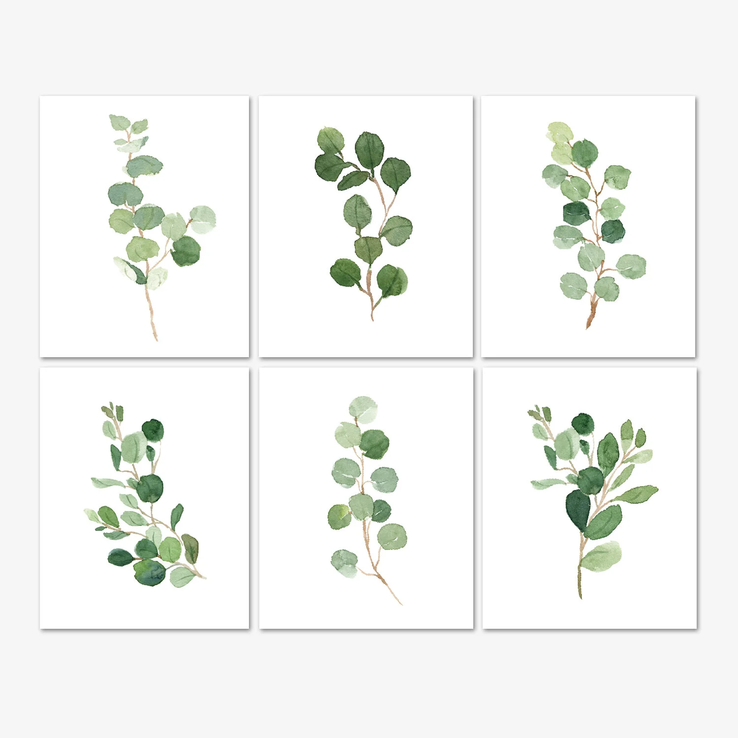 Botanical Prints Eucalyptus Leaves Wall Art