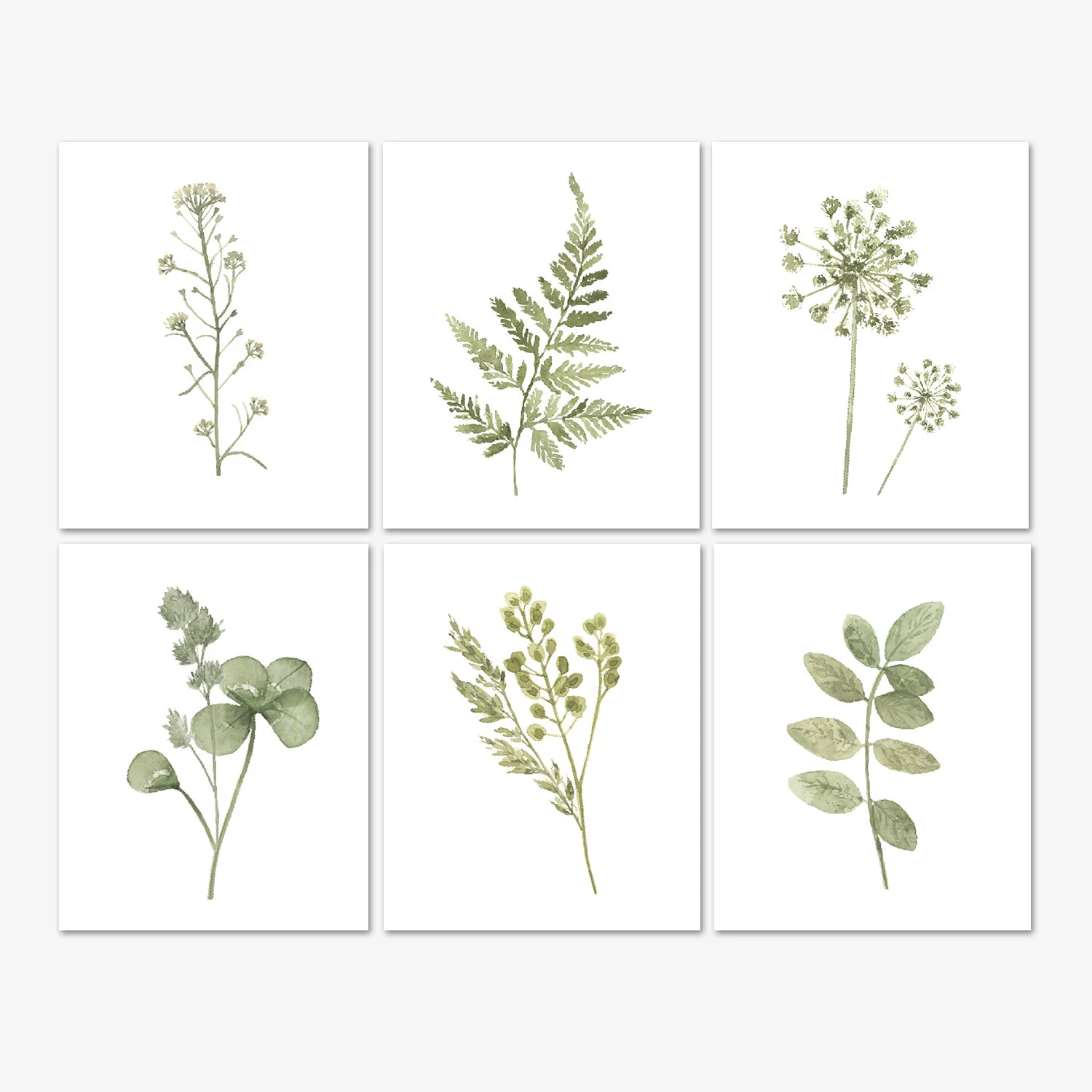 Pressed Greenery and Flowers Wall Art