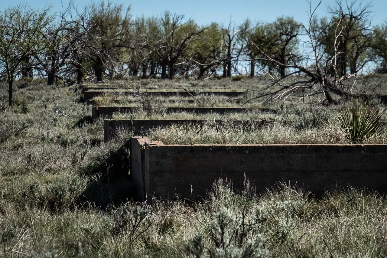 Amache Incarceration Camp