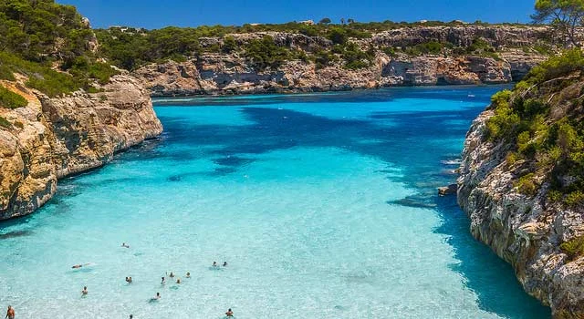 Cala.jpg