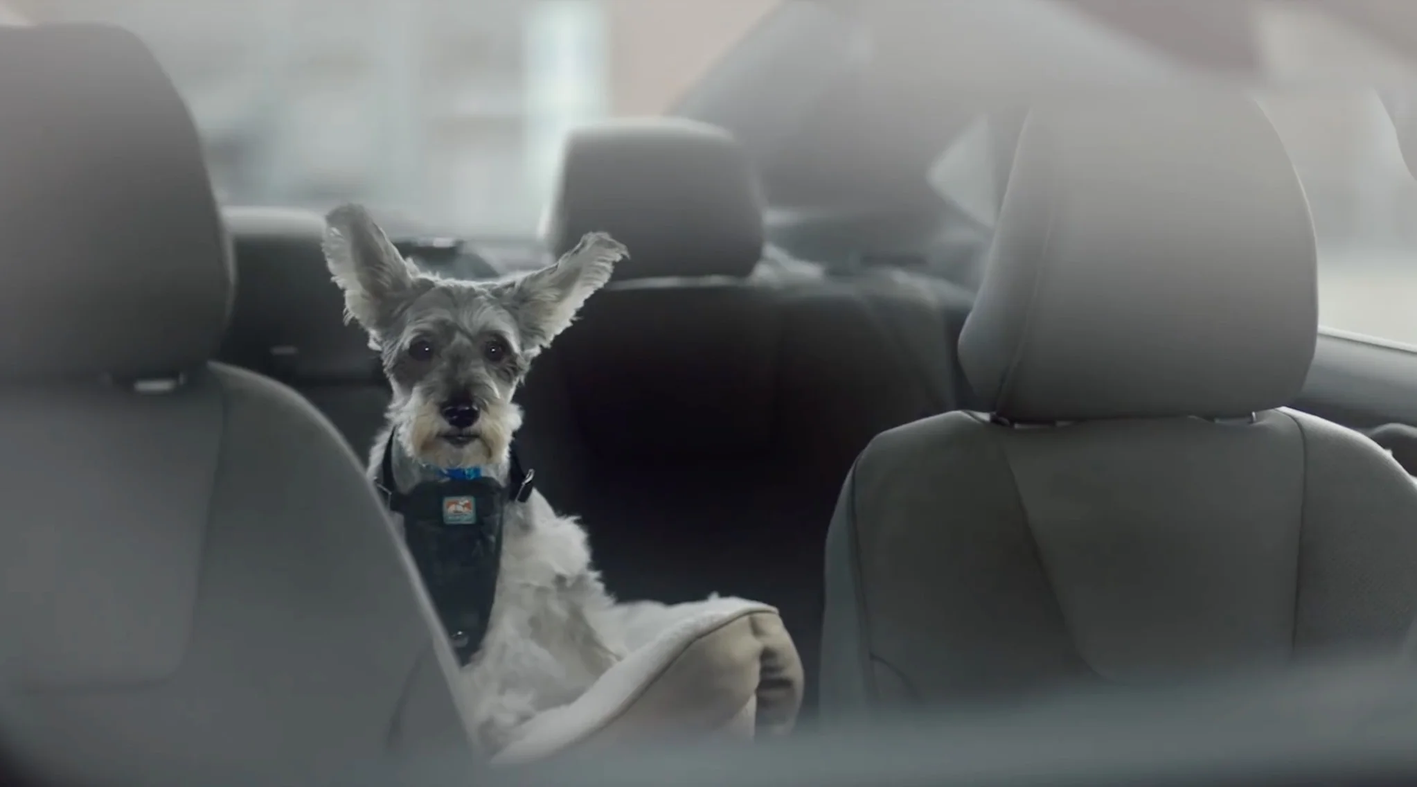 Screen Shot 2017-09-27 at 11.15.18 AM.jpg