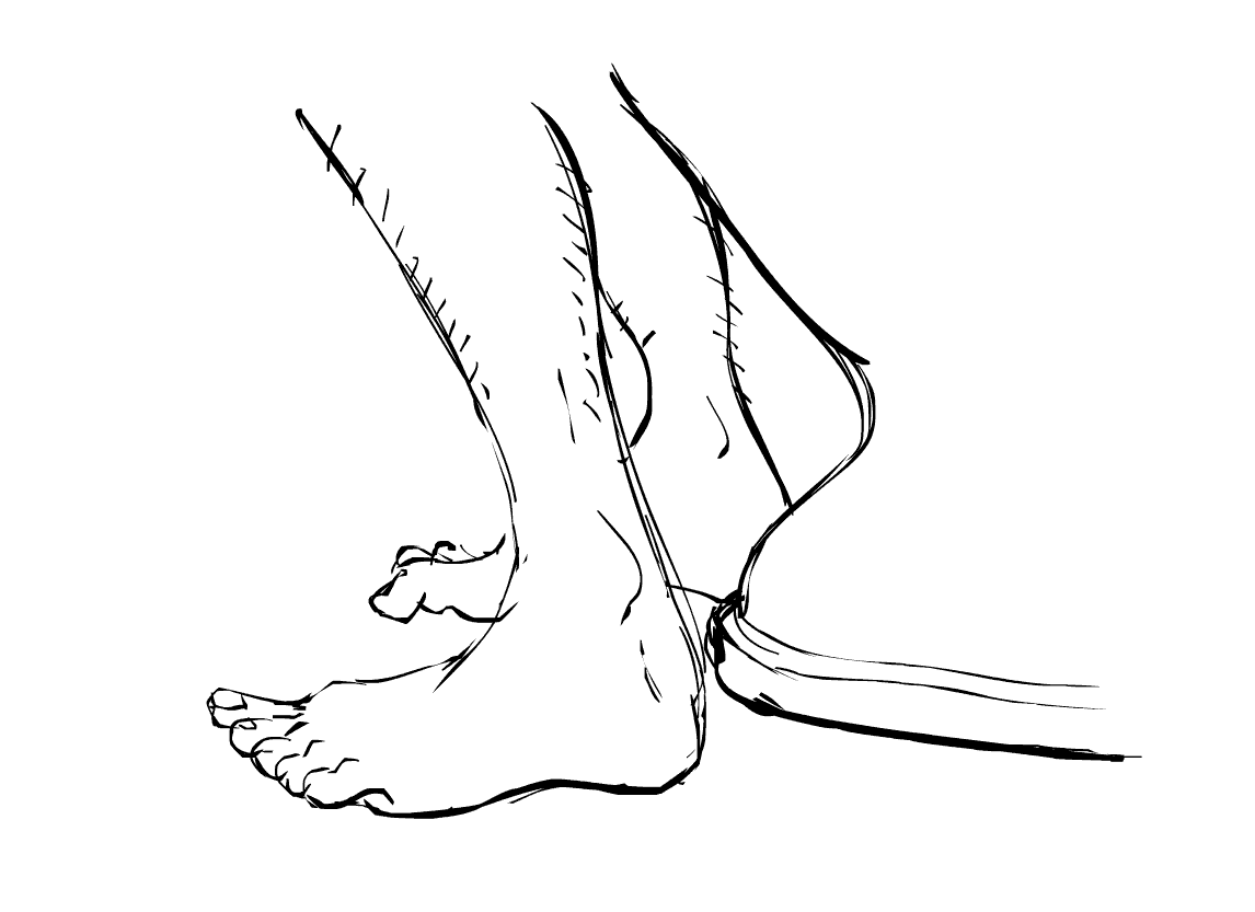 feet toilet.gif