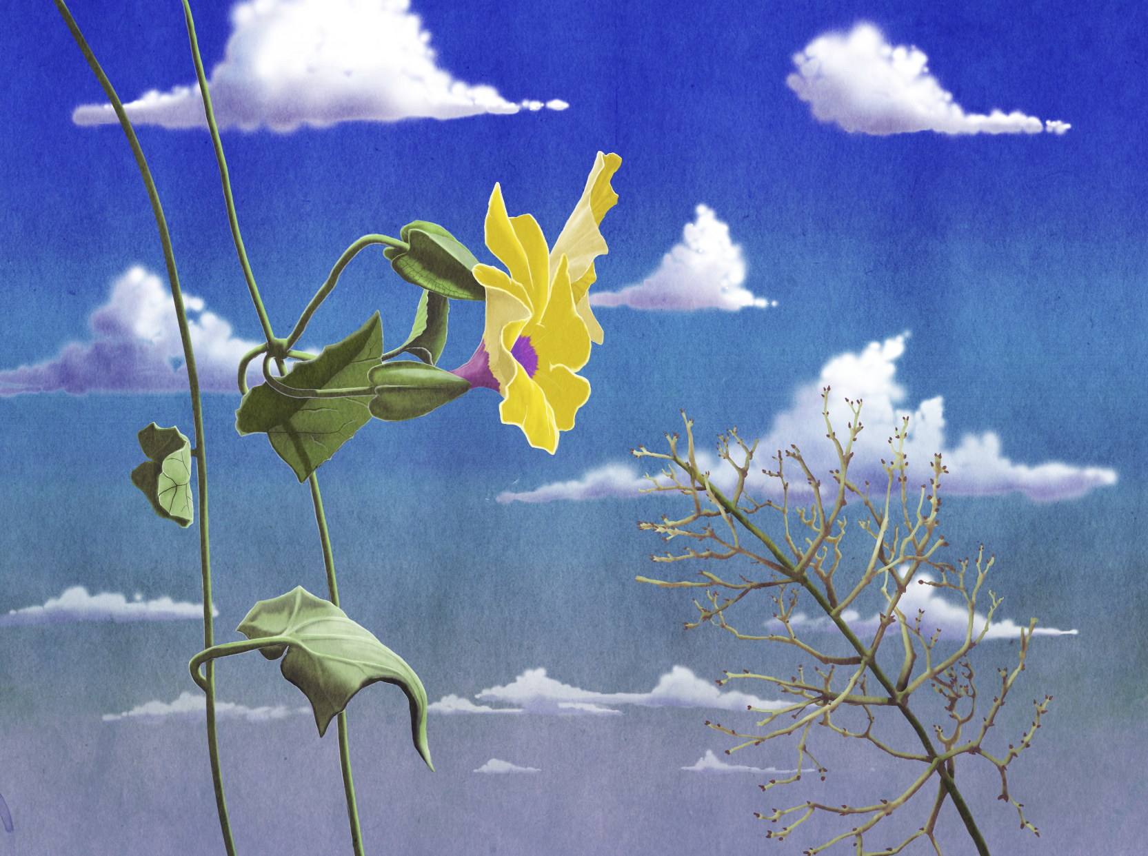 Screen Shot 2019-06-22 at 12.00.38 PM.png
