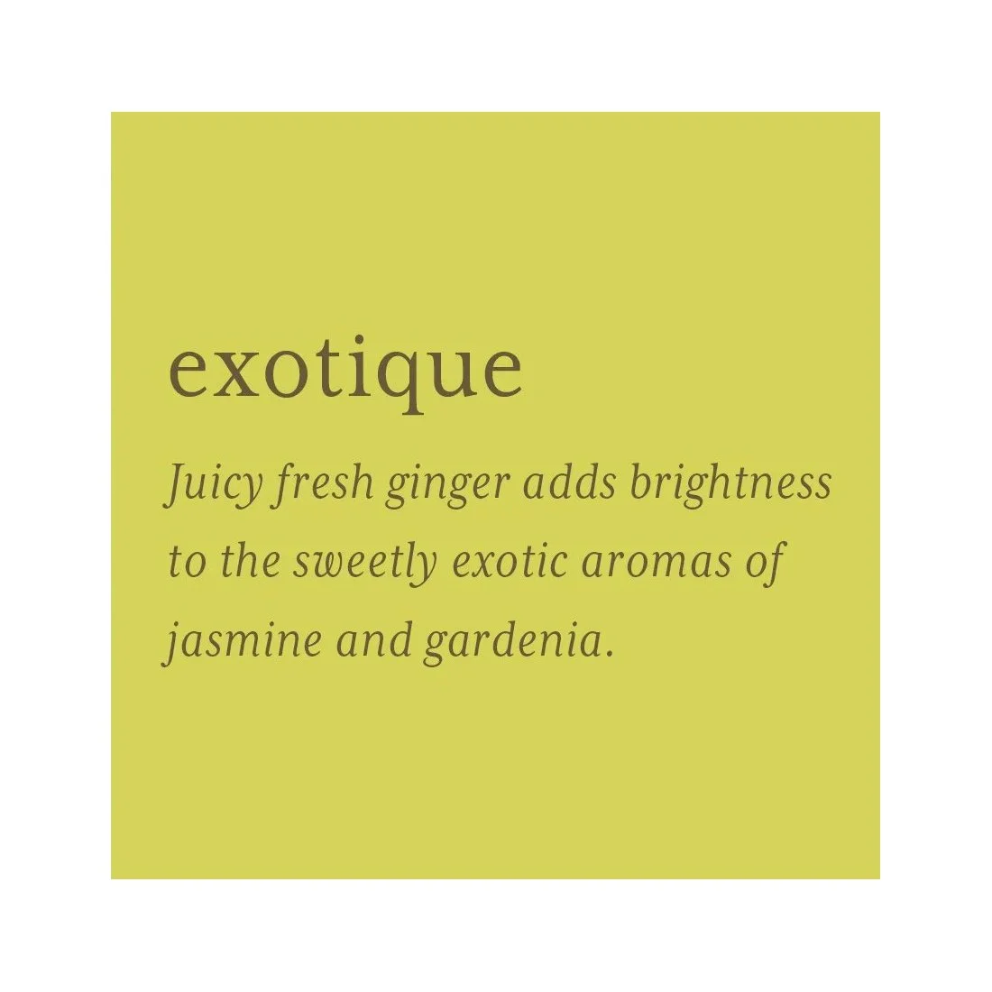 Exotique Description Square.jpg