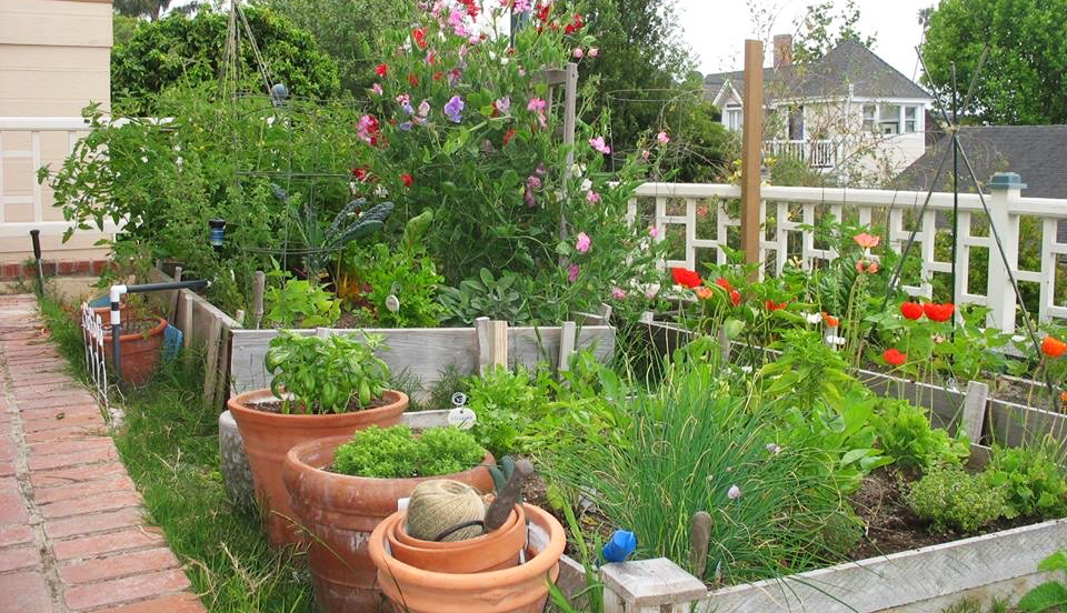 My previous garden, which I cherished