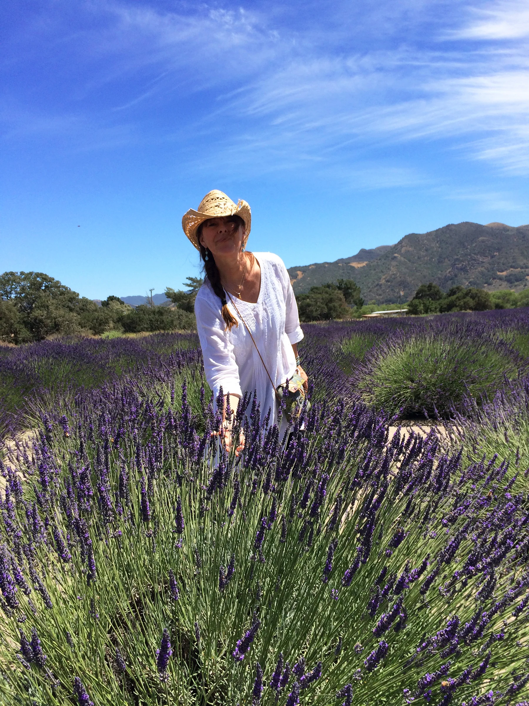 Discovering new lavender growers, Santa ynez valley, ca