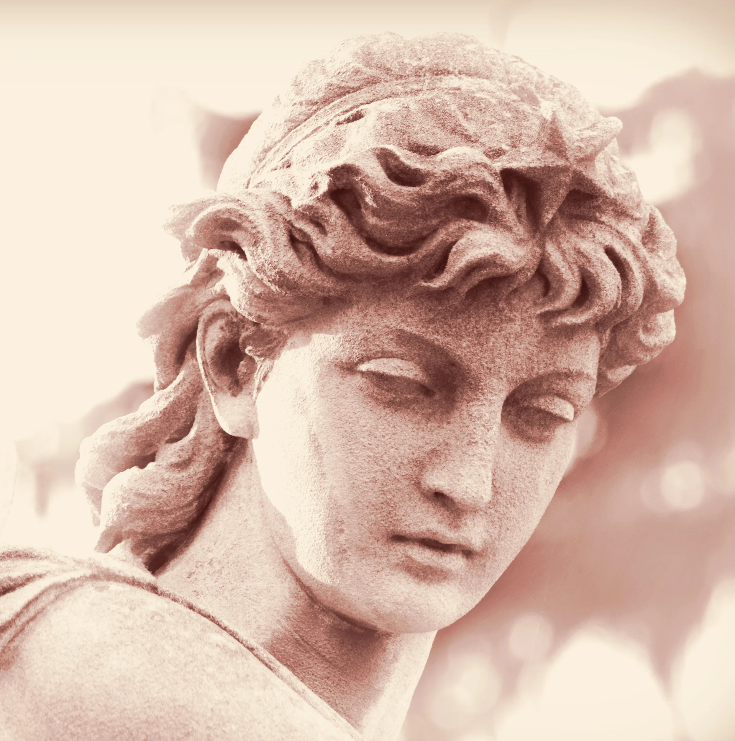 APHRODITE ROSE.jpg