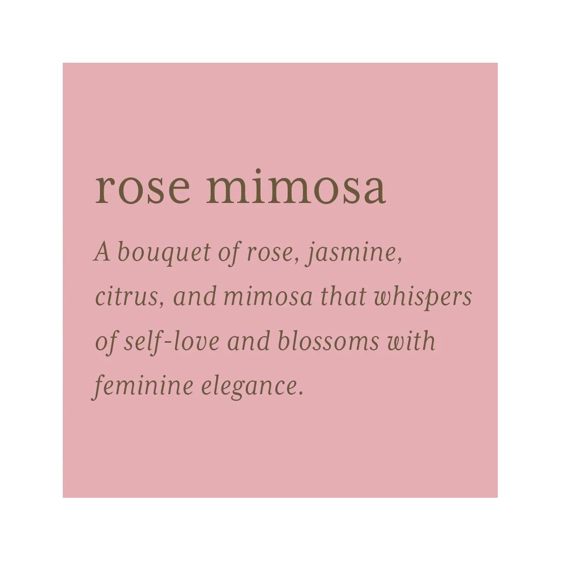 Rose Mimosa Description Square.jpg