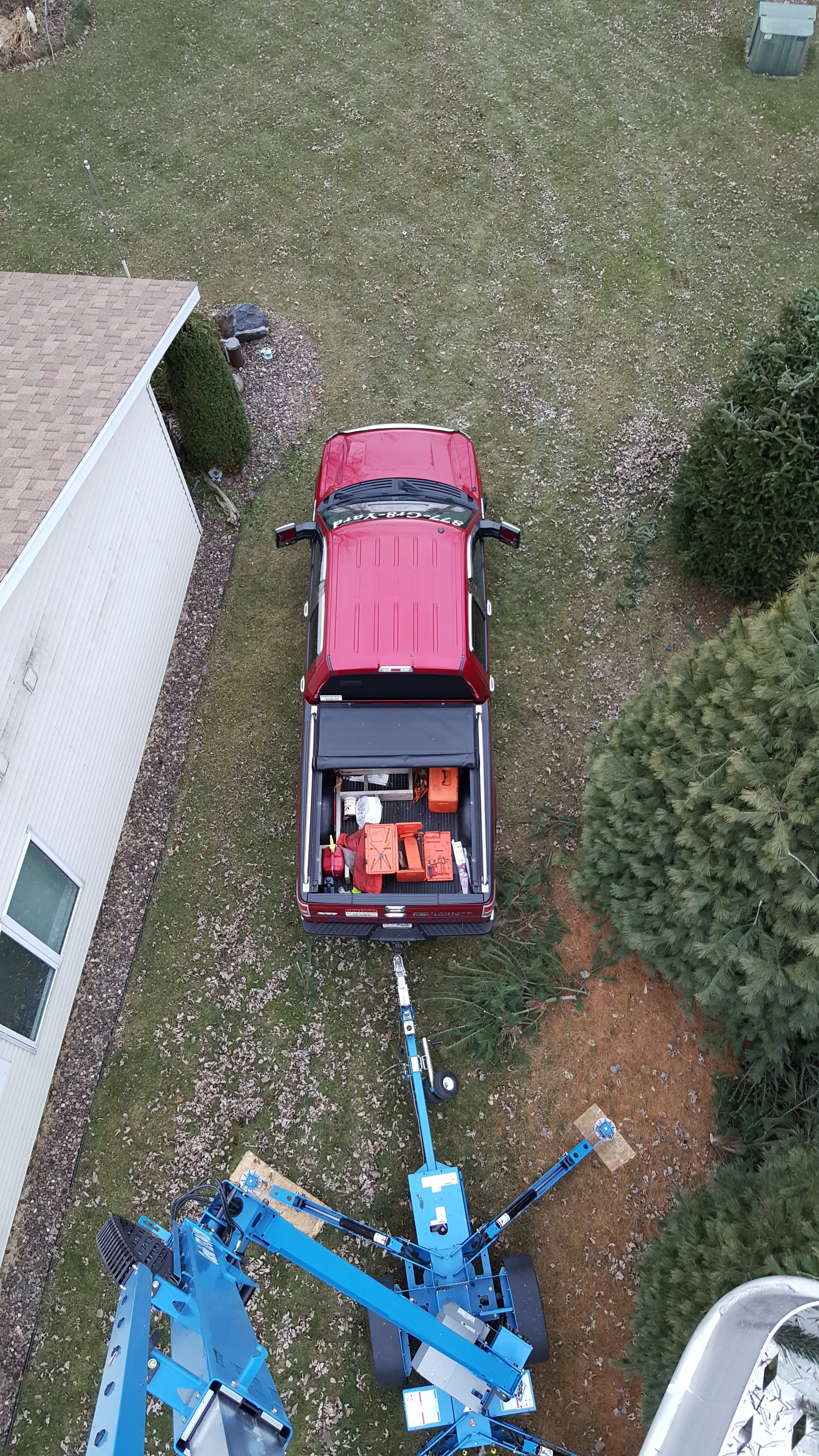 Tree Trimming