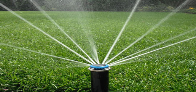 irrigation.jpg