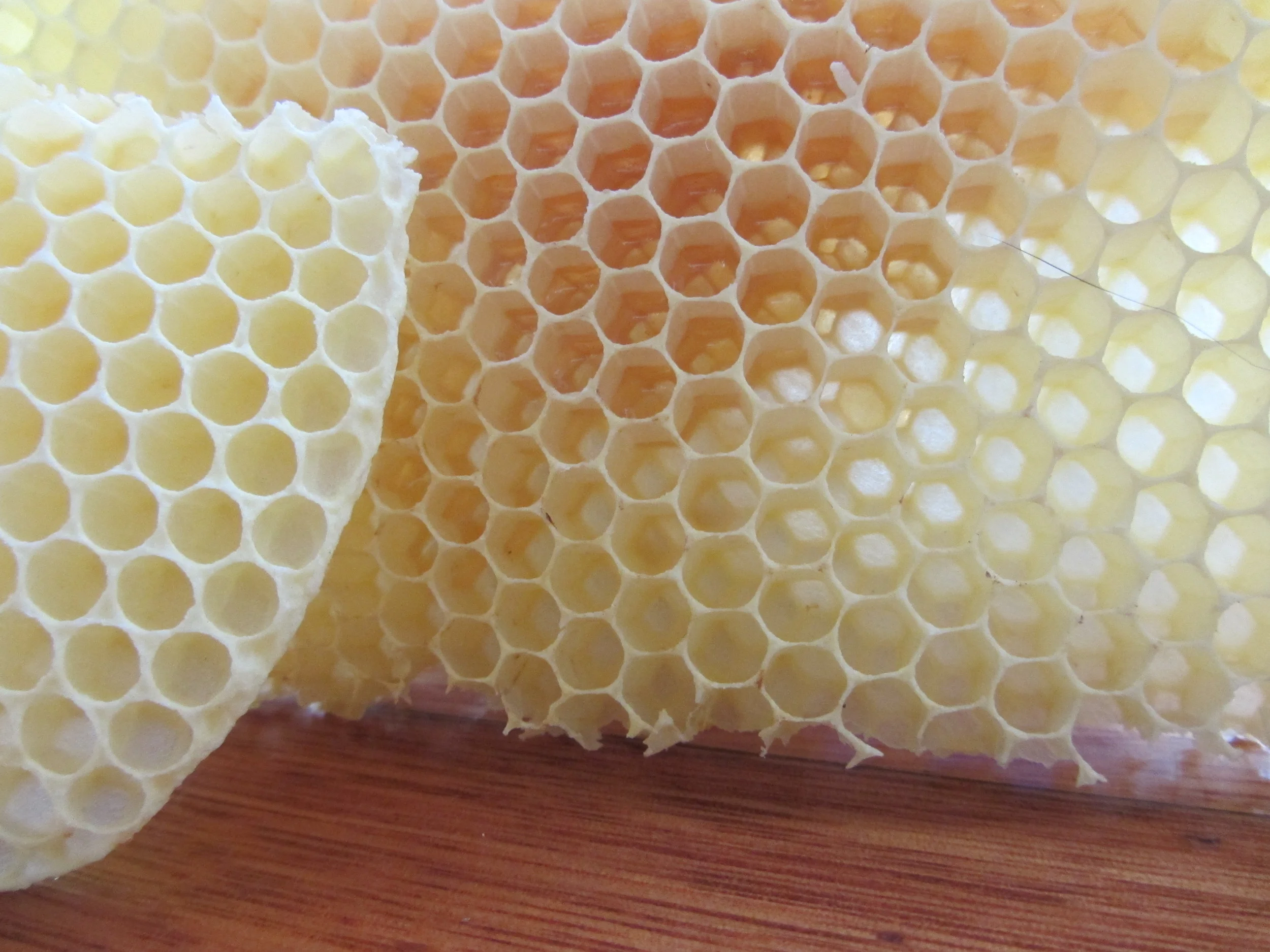 Natural comb often drawing drone comb first