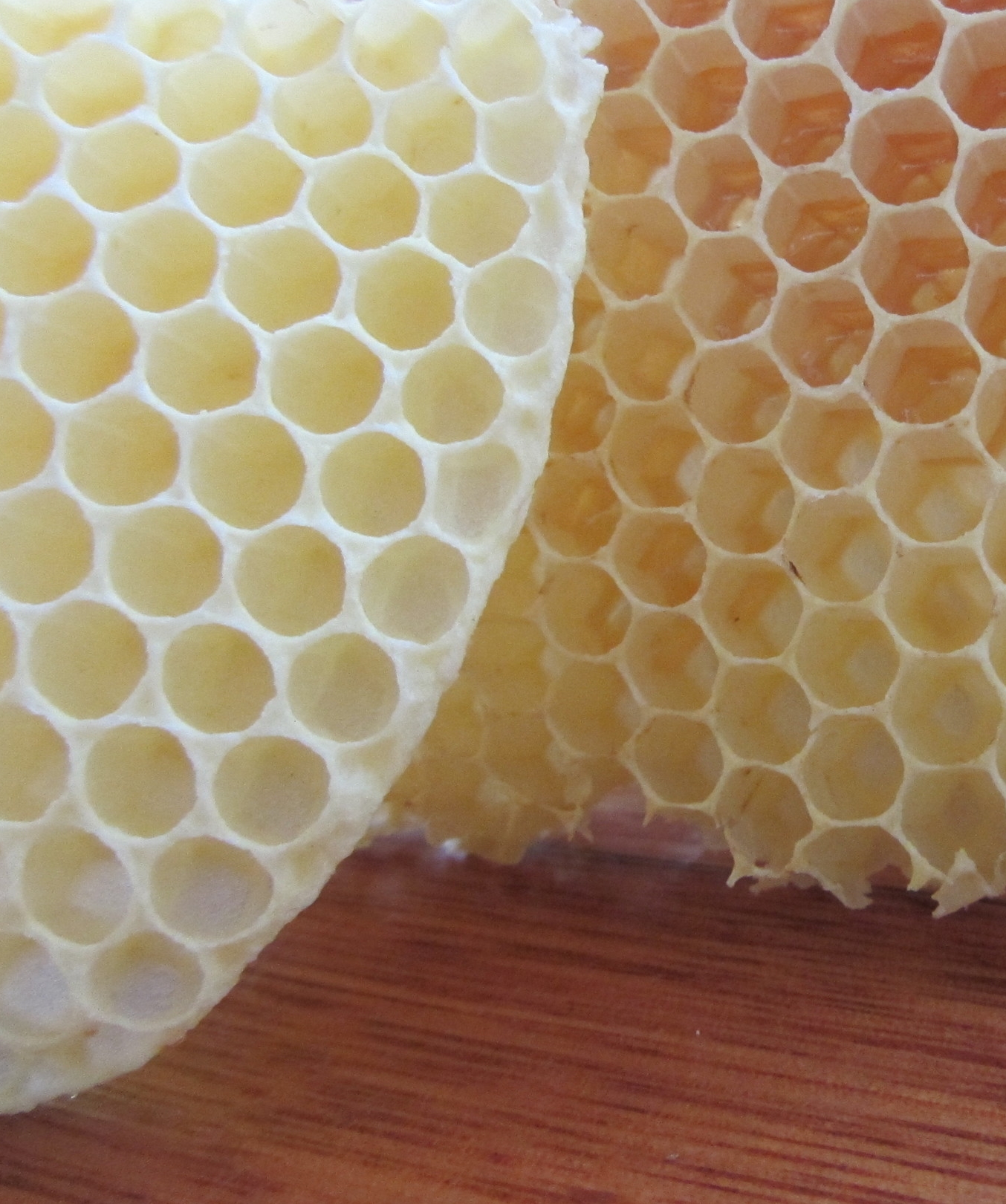 Natural Comb built for Drones