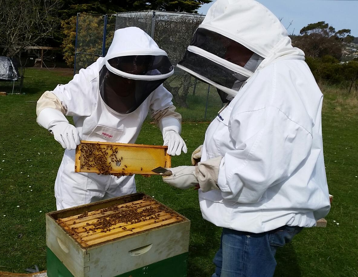 Shop — Natural Beekeeping Tasmania
