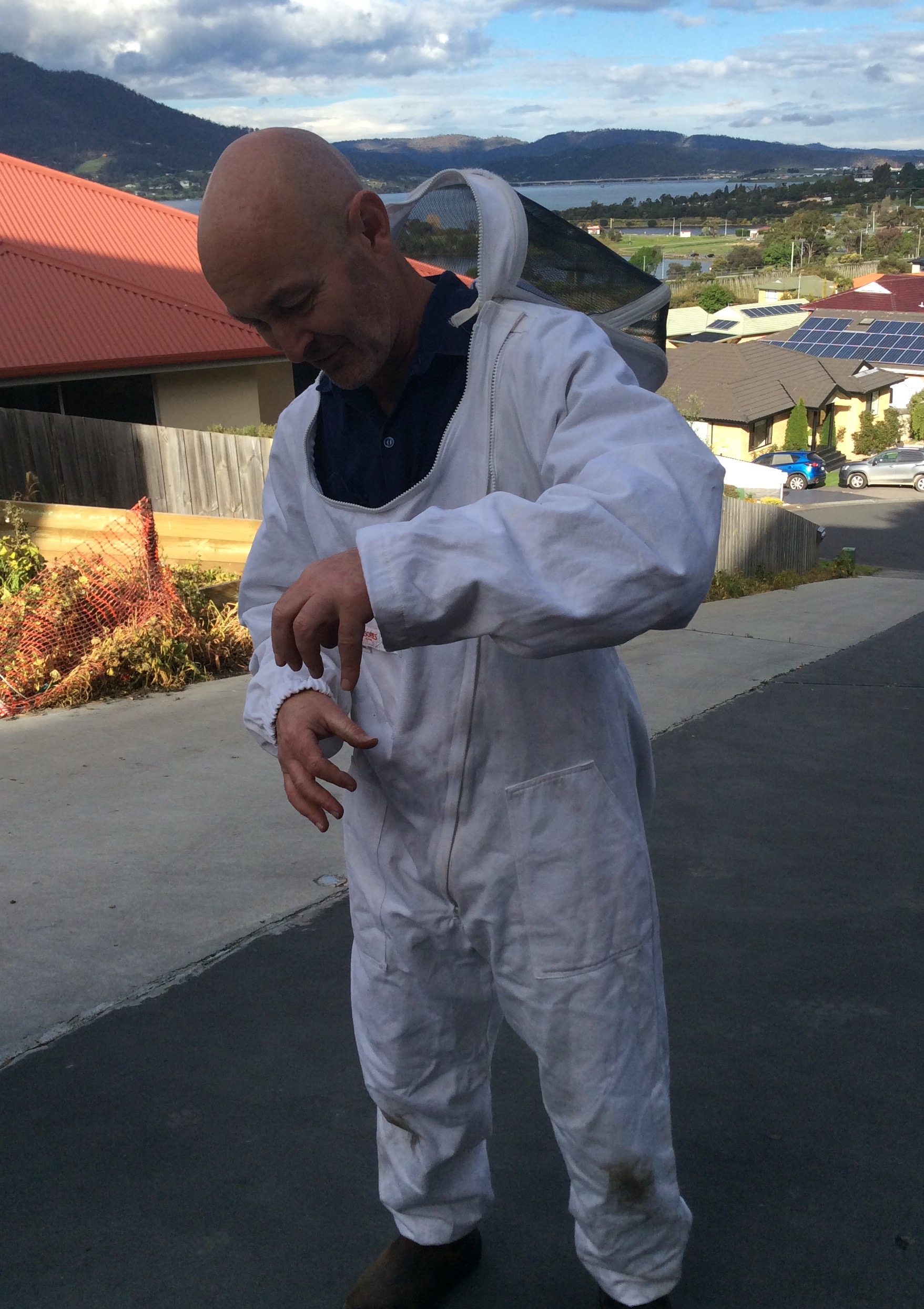 Washing Bee Suits
