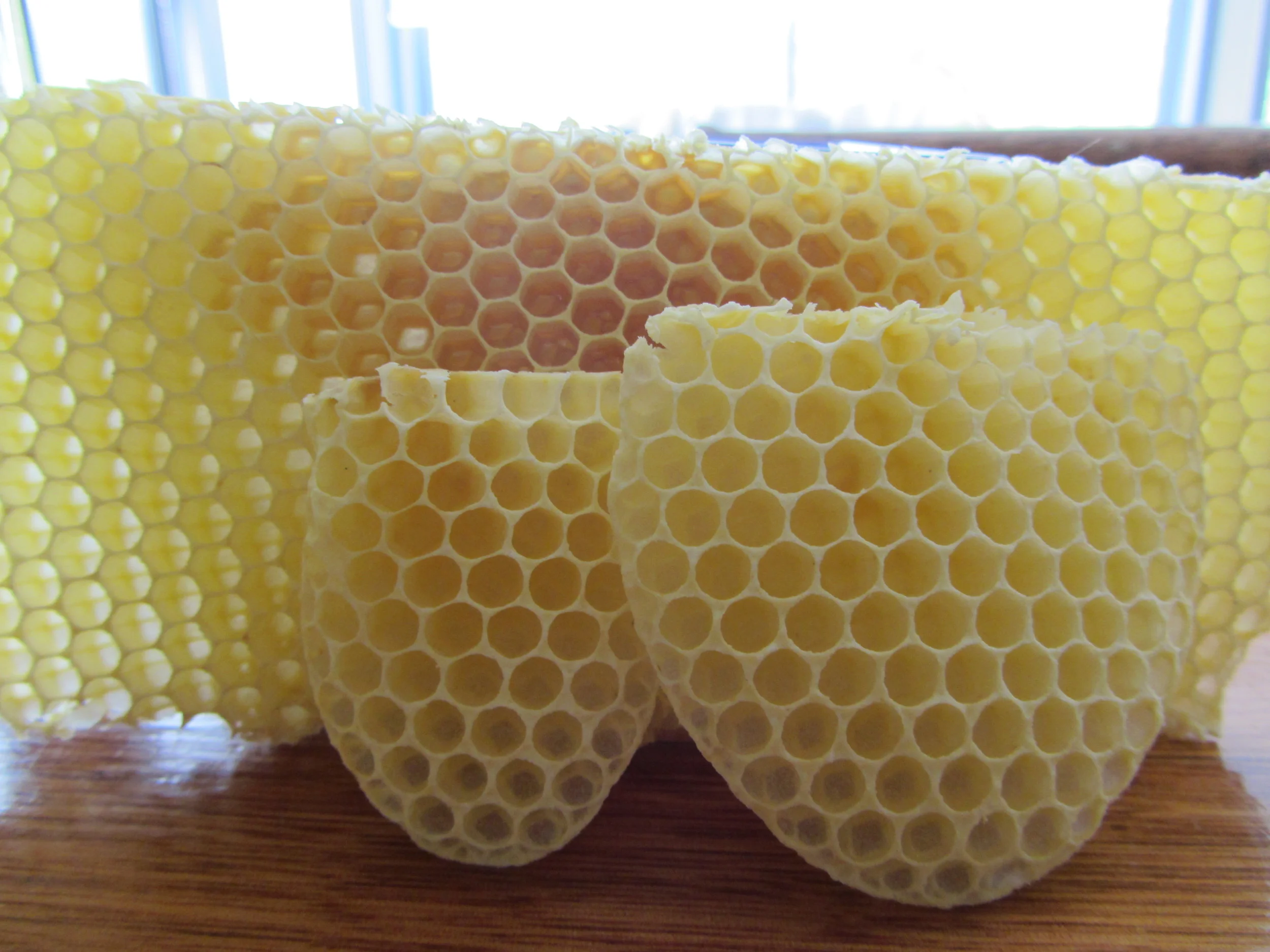 Fresh comb from the bees
